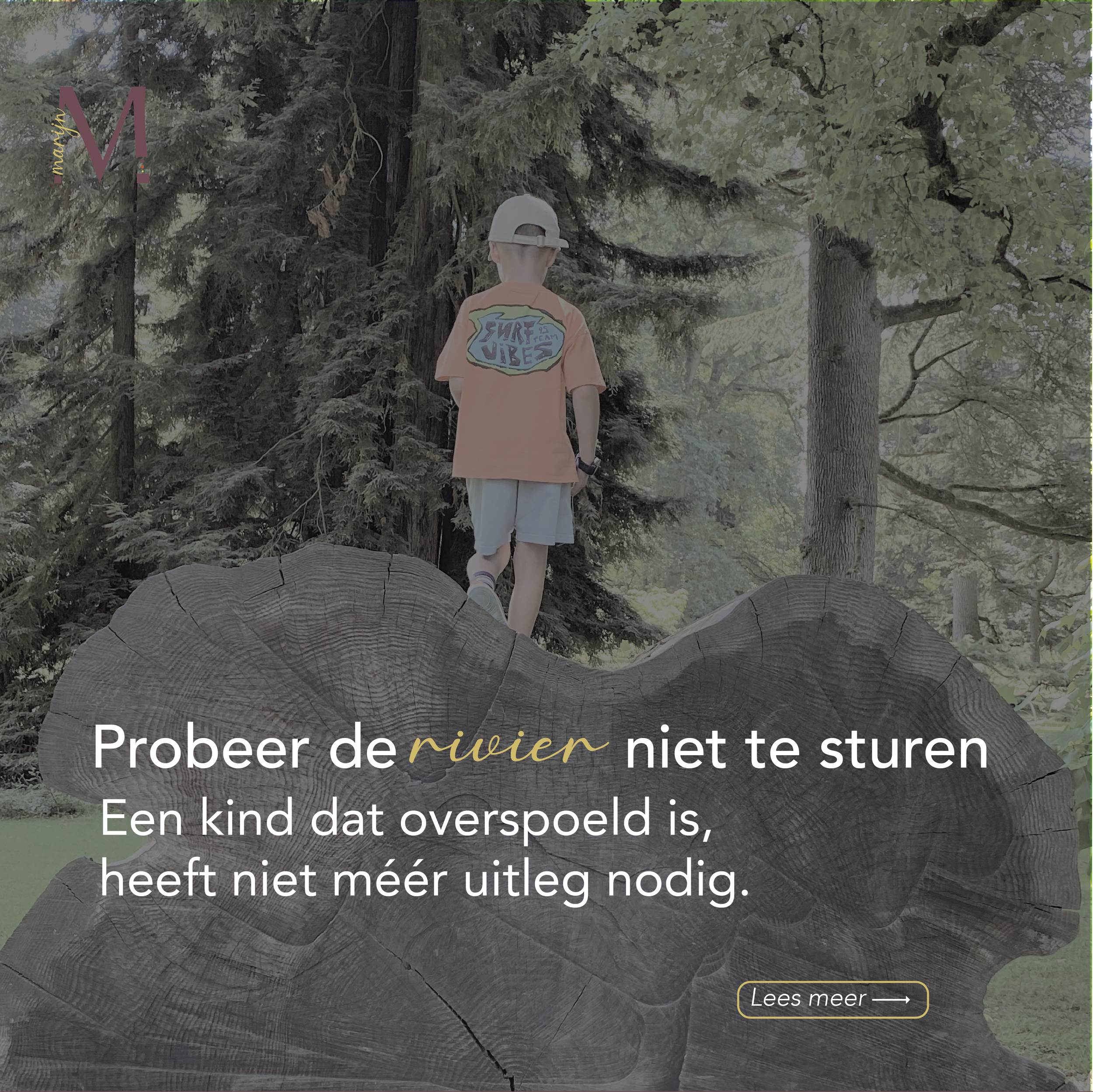 Window of Tolerance: wat er gebeurt als de spanning te groot wordt