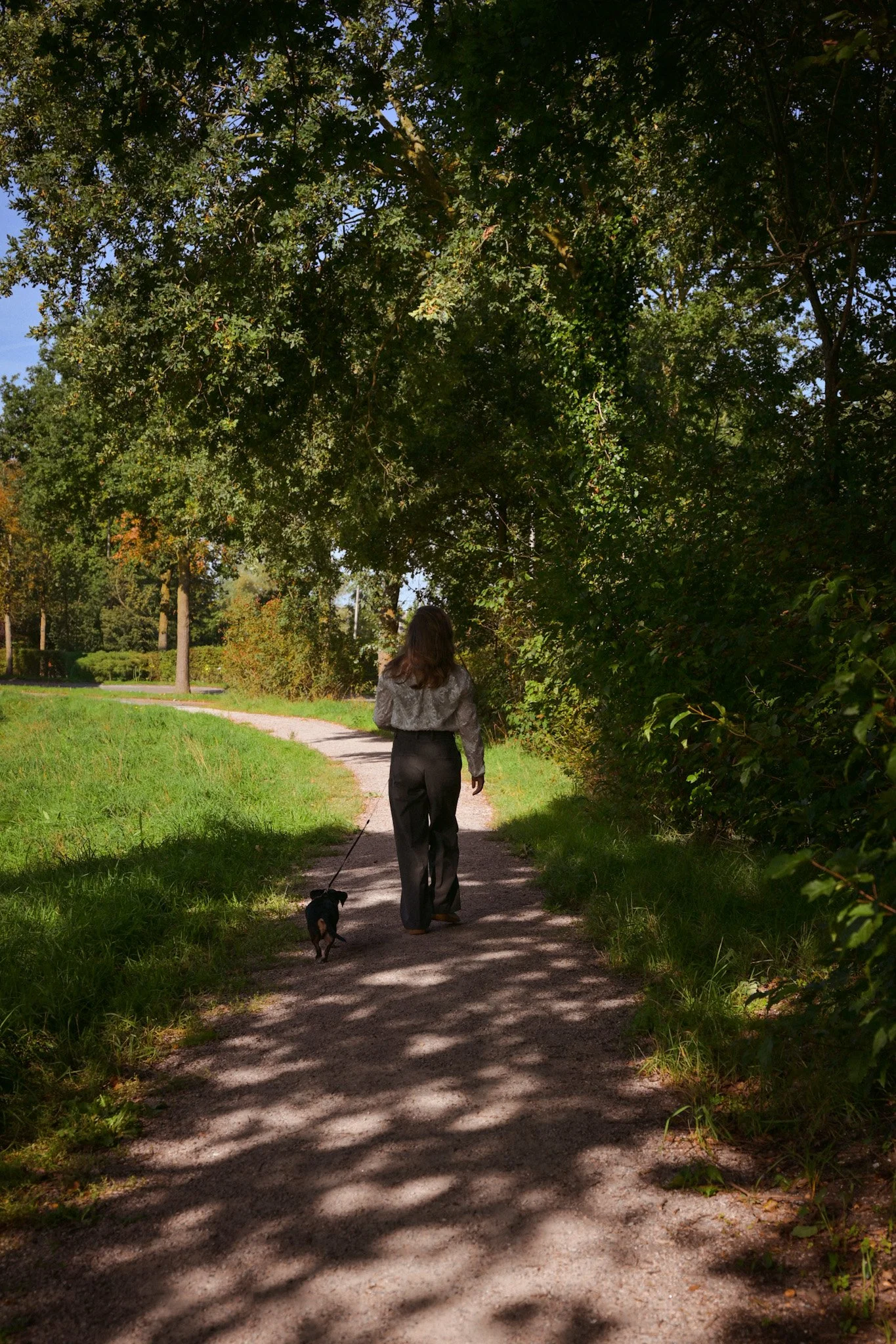 Holistisch orthopedagoog en astroloog