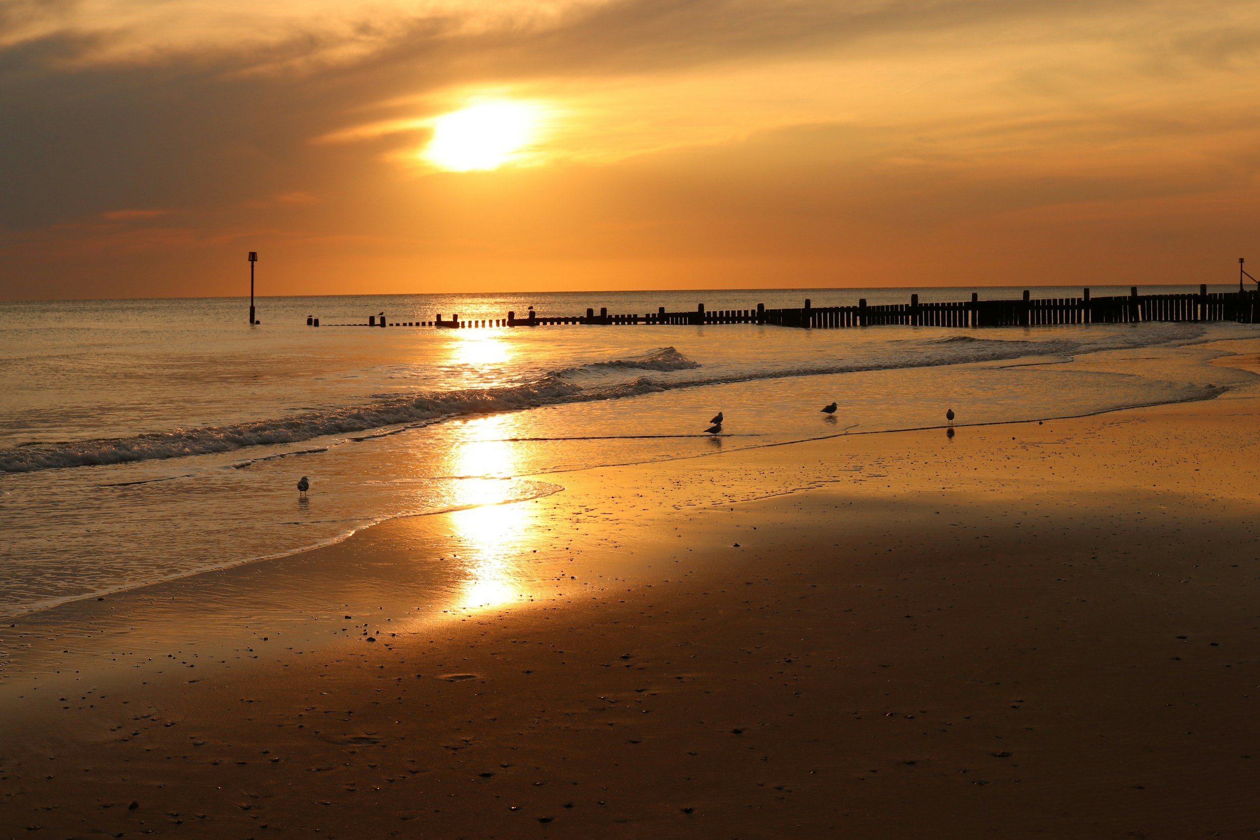 The Best of Both Worlds: Beach Holidays in Norfolk with a Countryside Stay at Worstead Estate