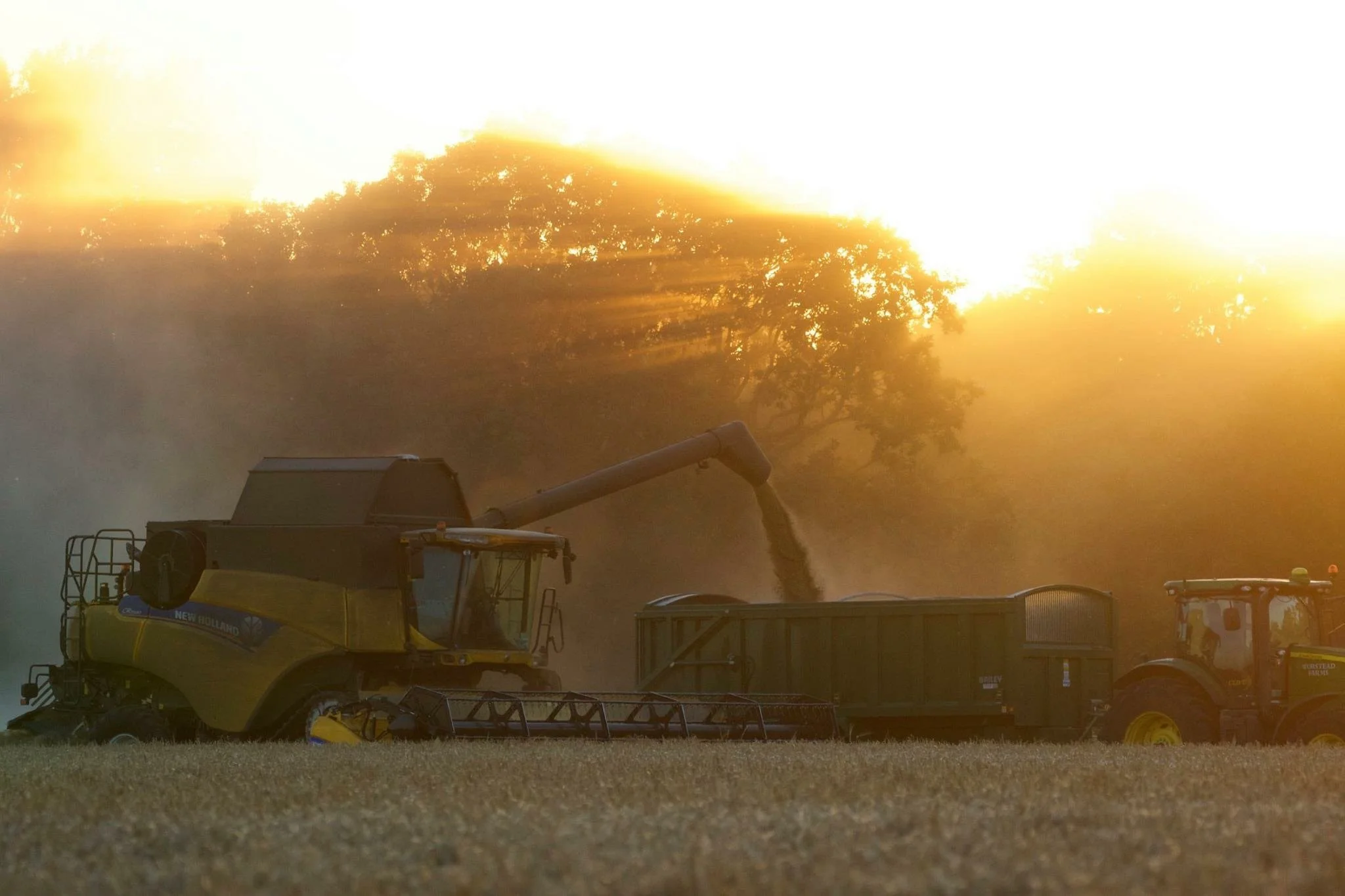 13. Harvest Time.JPG