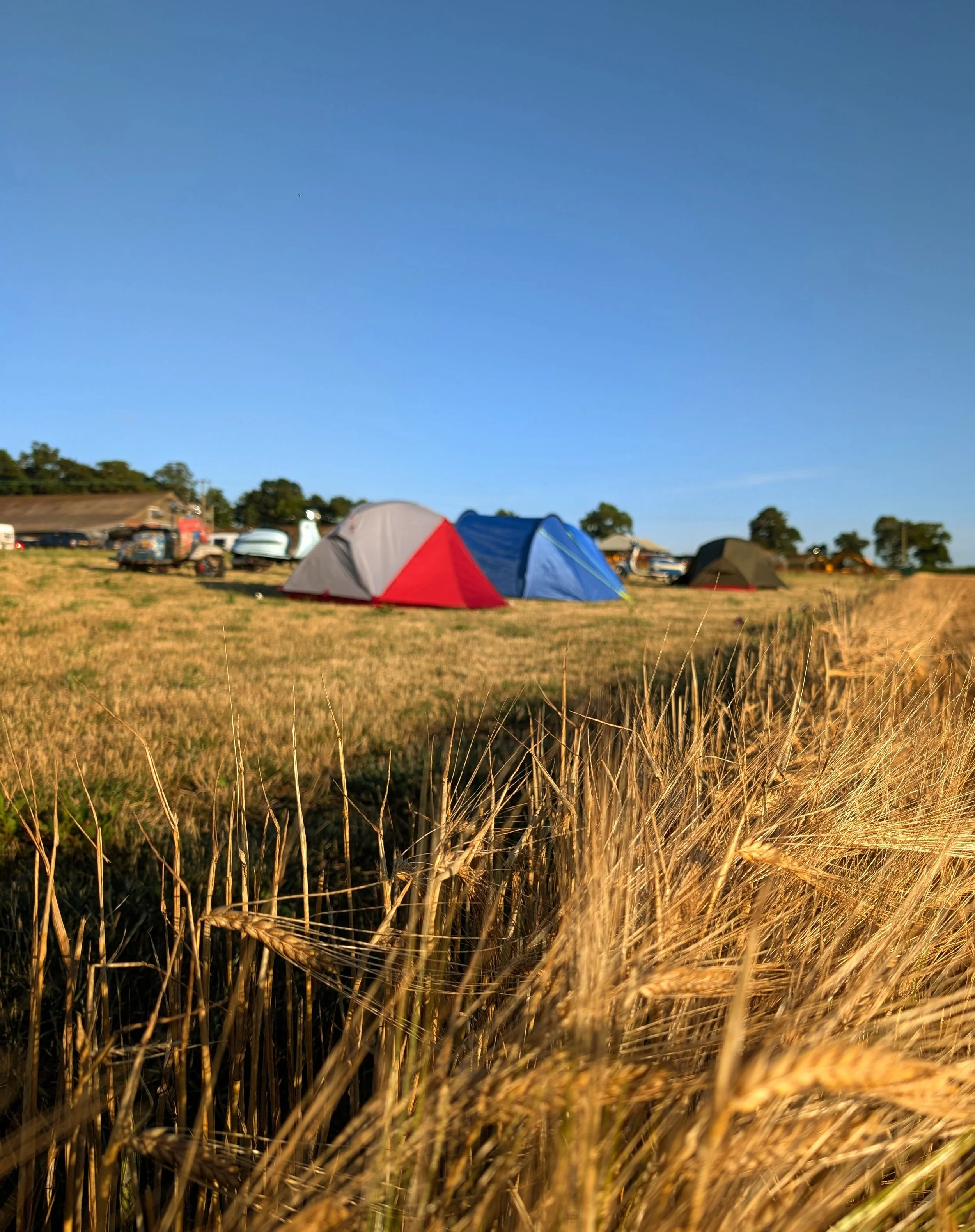 14. Barley with Camping.jpg