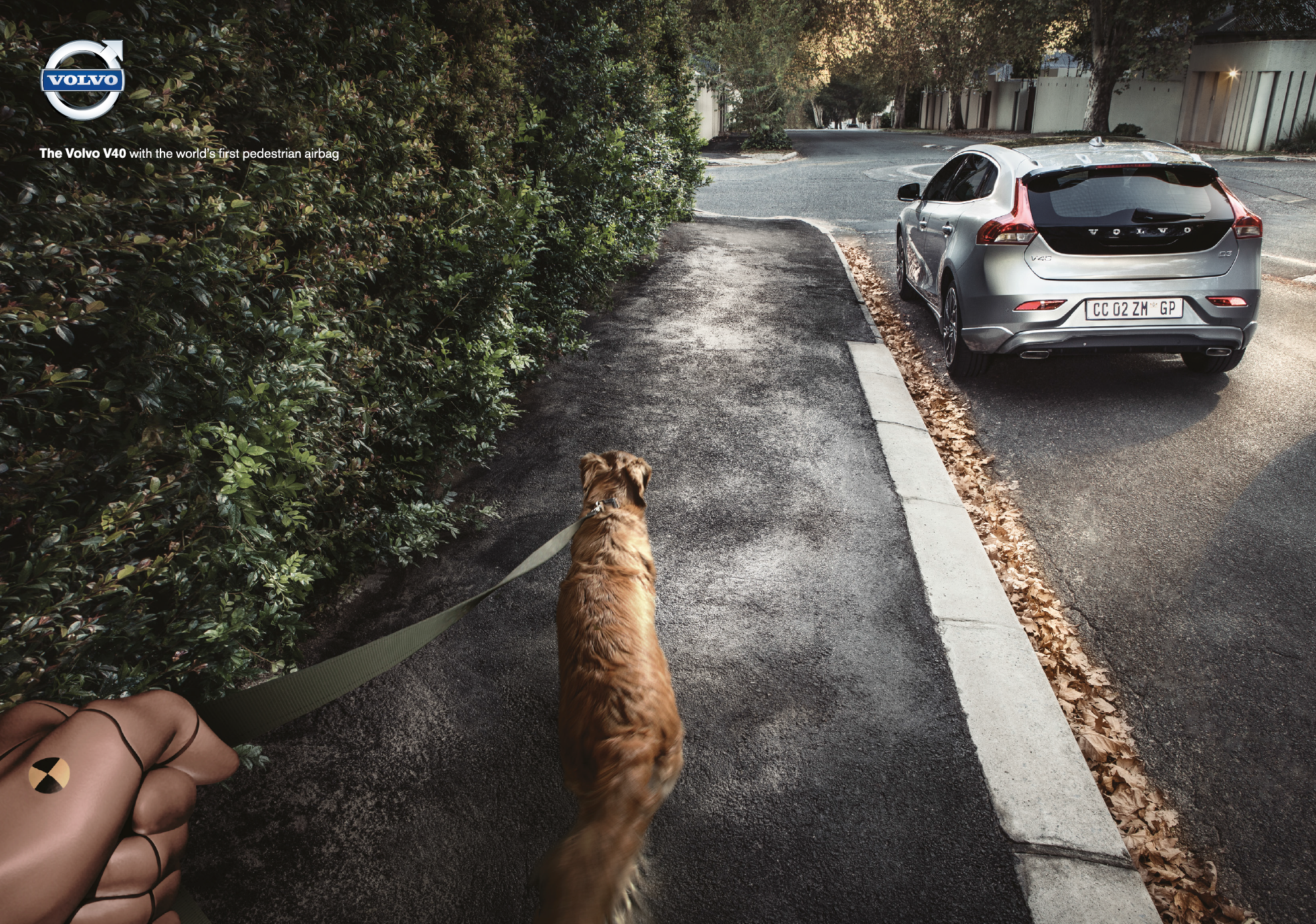 Volvo V40 dog print.png