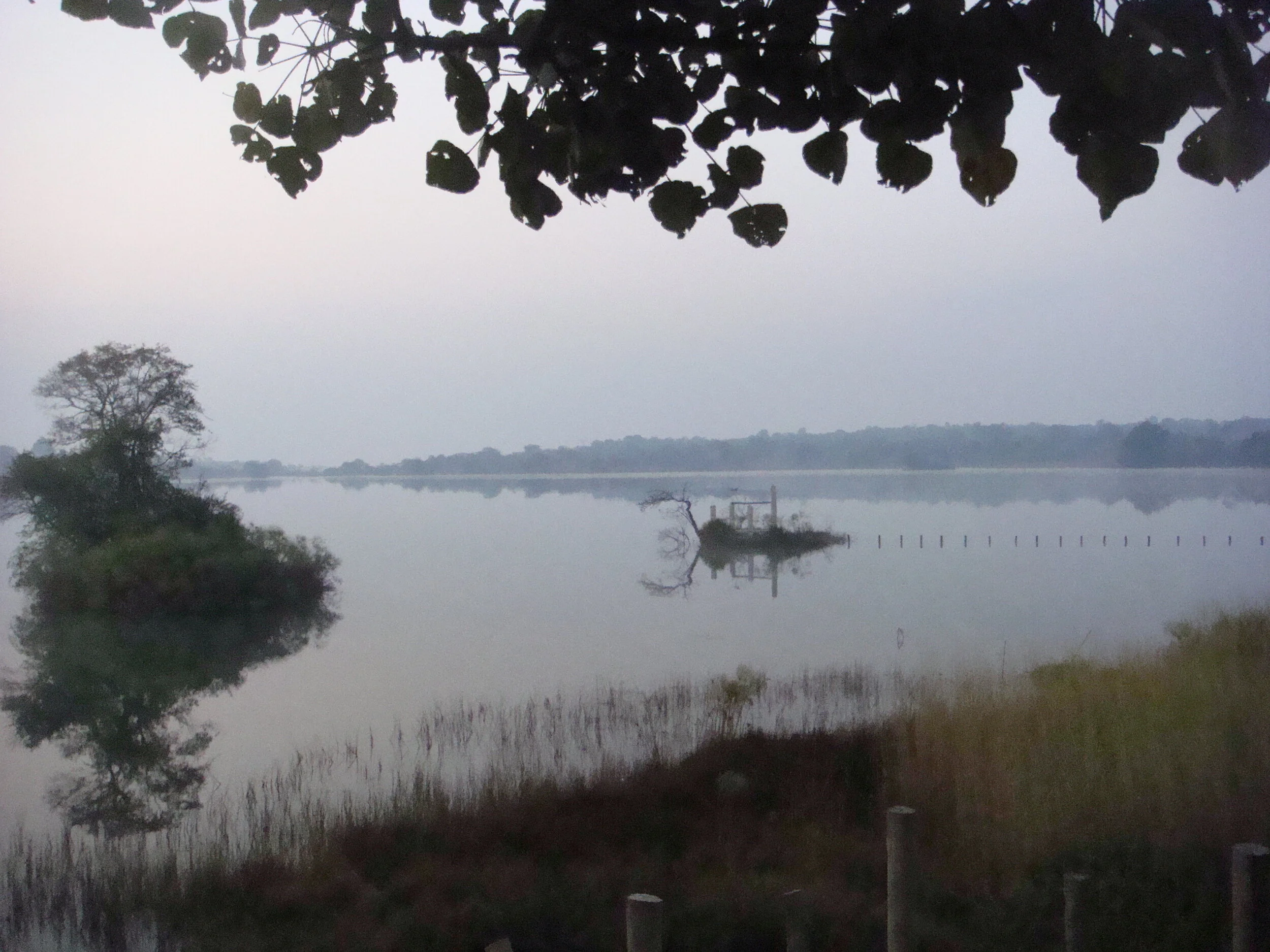Letzter Markt vor der Sommerpause