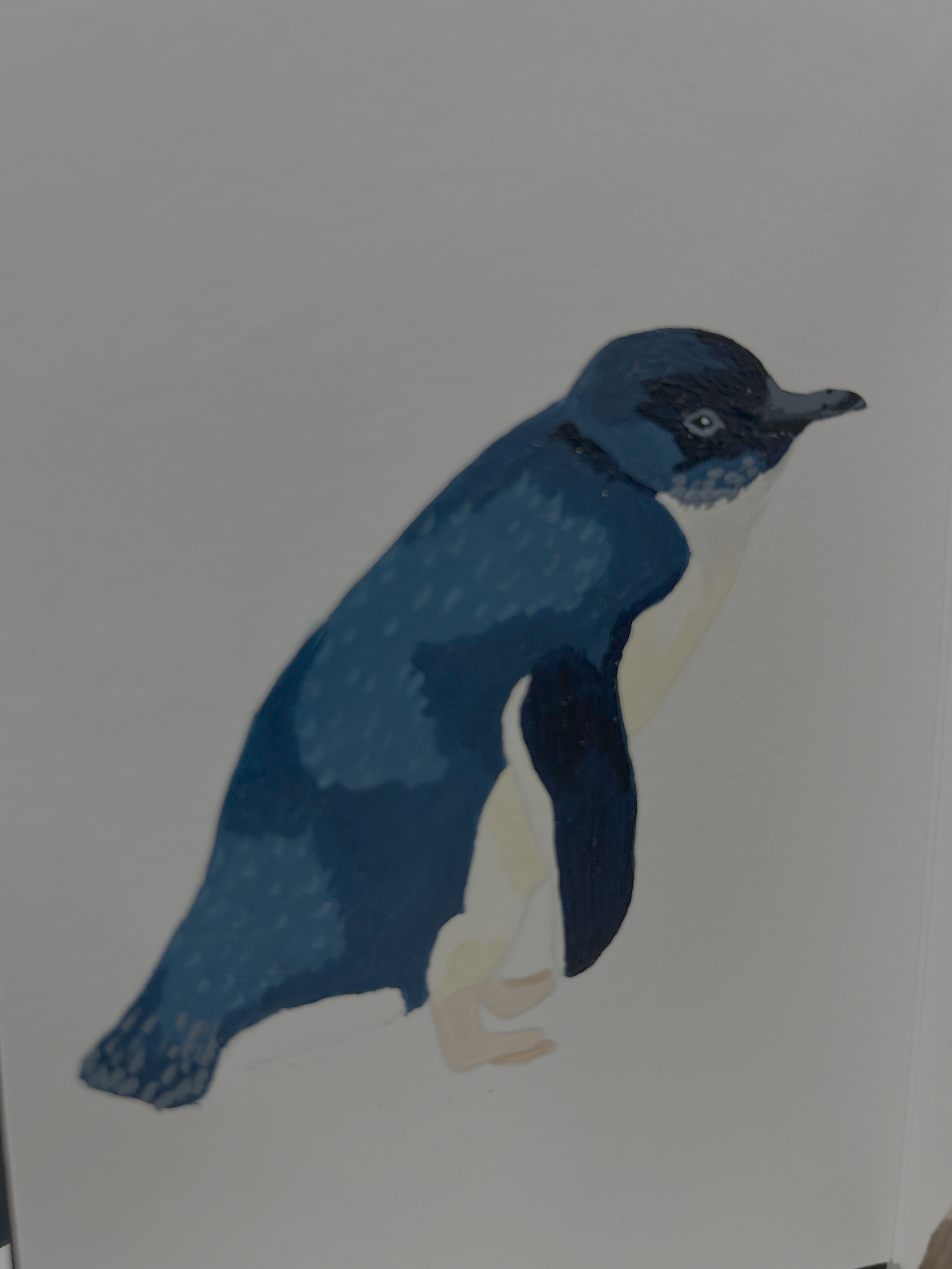 IMG_4587.png