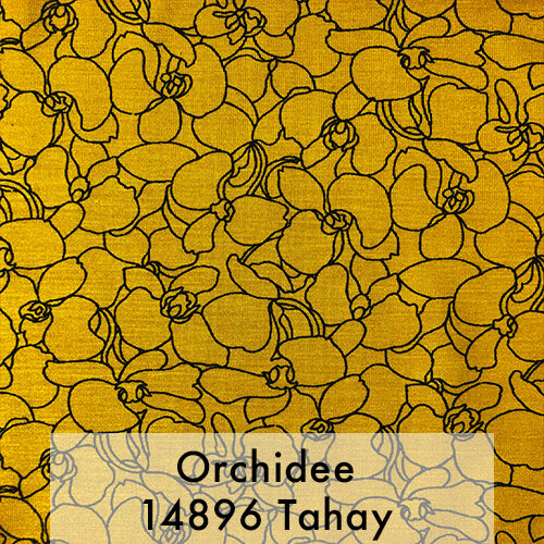 orchidee_14895.jpg