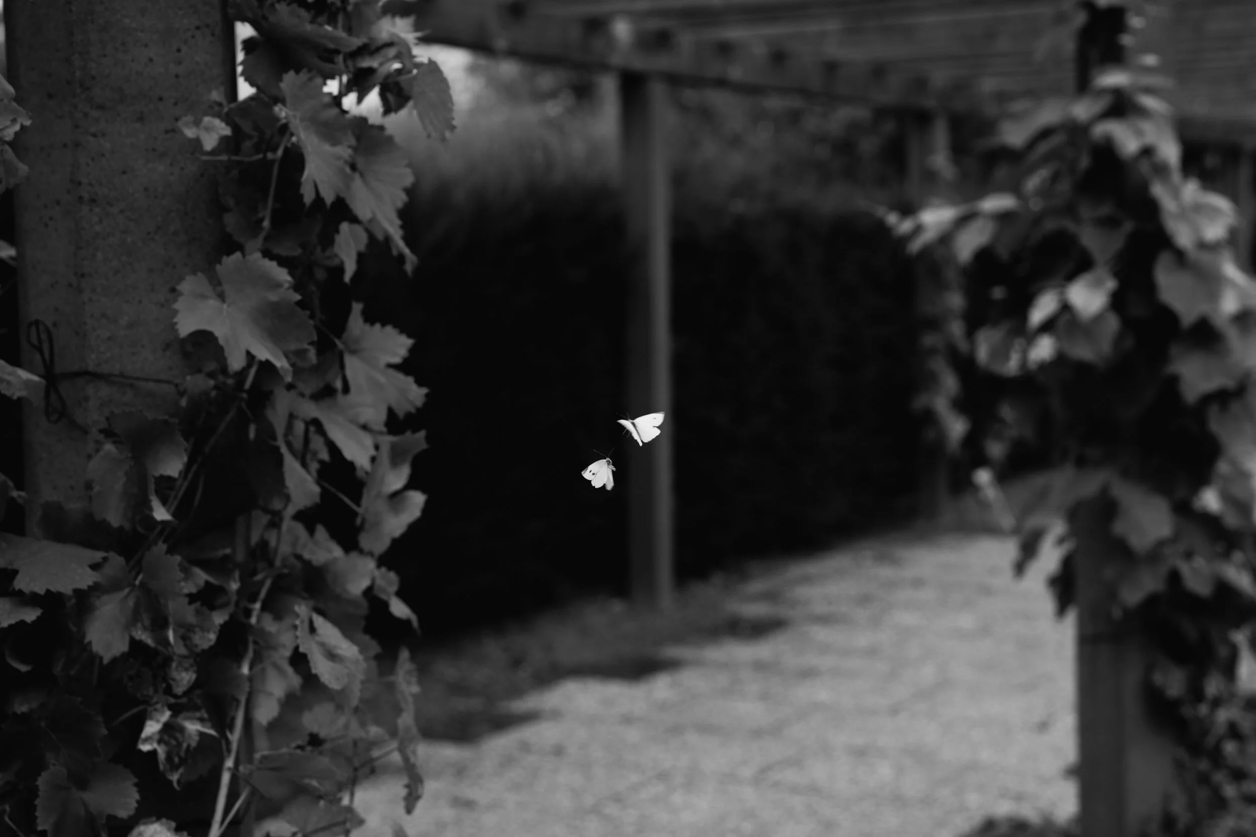 Hochzeitsfotografie_Berlin_49.jpg