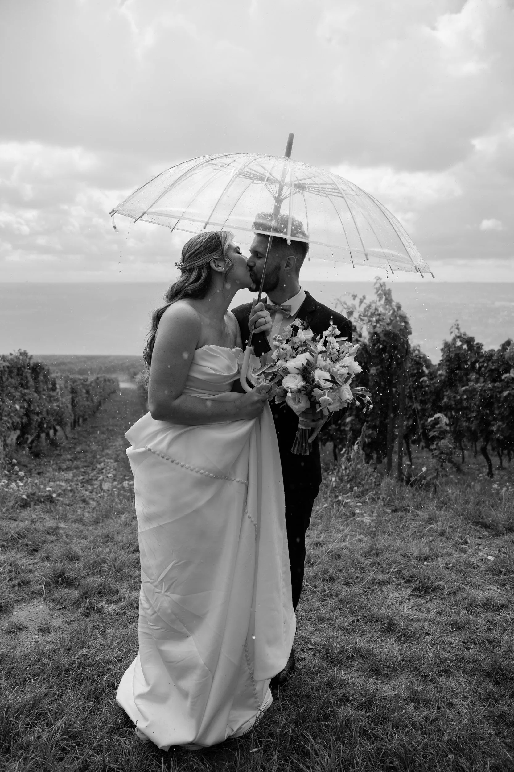 First Look in den Weinbergen