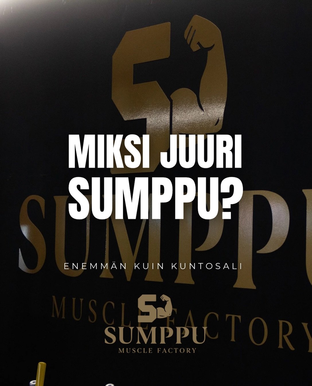 MIKSI JUURI SUMPPU? 🖤

Koska hyv&auml;n kuntosalin pit&auml;&auml; tarjota enemm&auml;n kuin hyv&auml;t laitteet.

Me rakensimme Sumpun treenaajalle, joka haluaa tehd&auml; voimaa, lihaskuntoa, kehonhuoltoa - monipuolisesti yhdess&auml; paikassa.

E