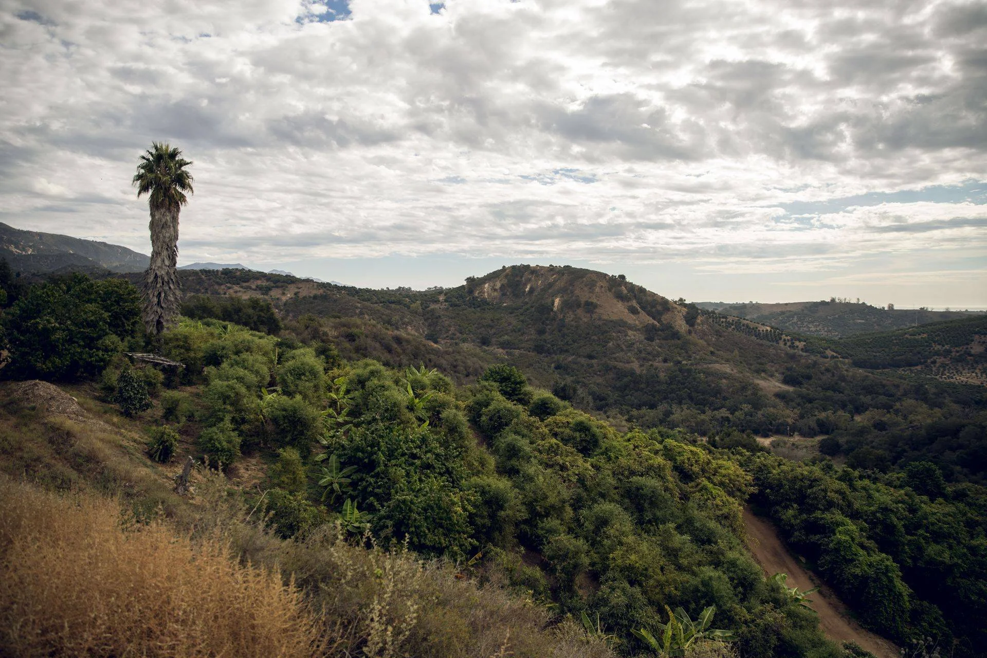 The Good Land — Good Land Organics