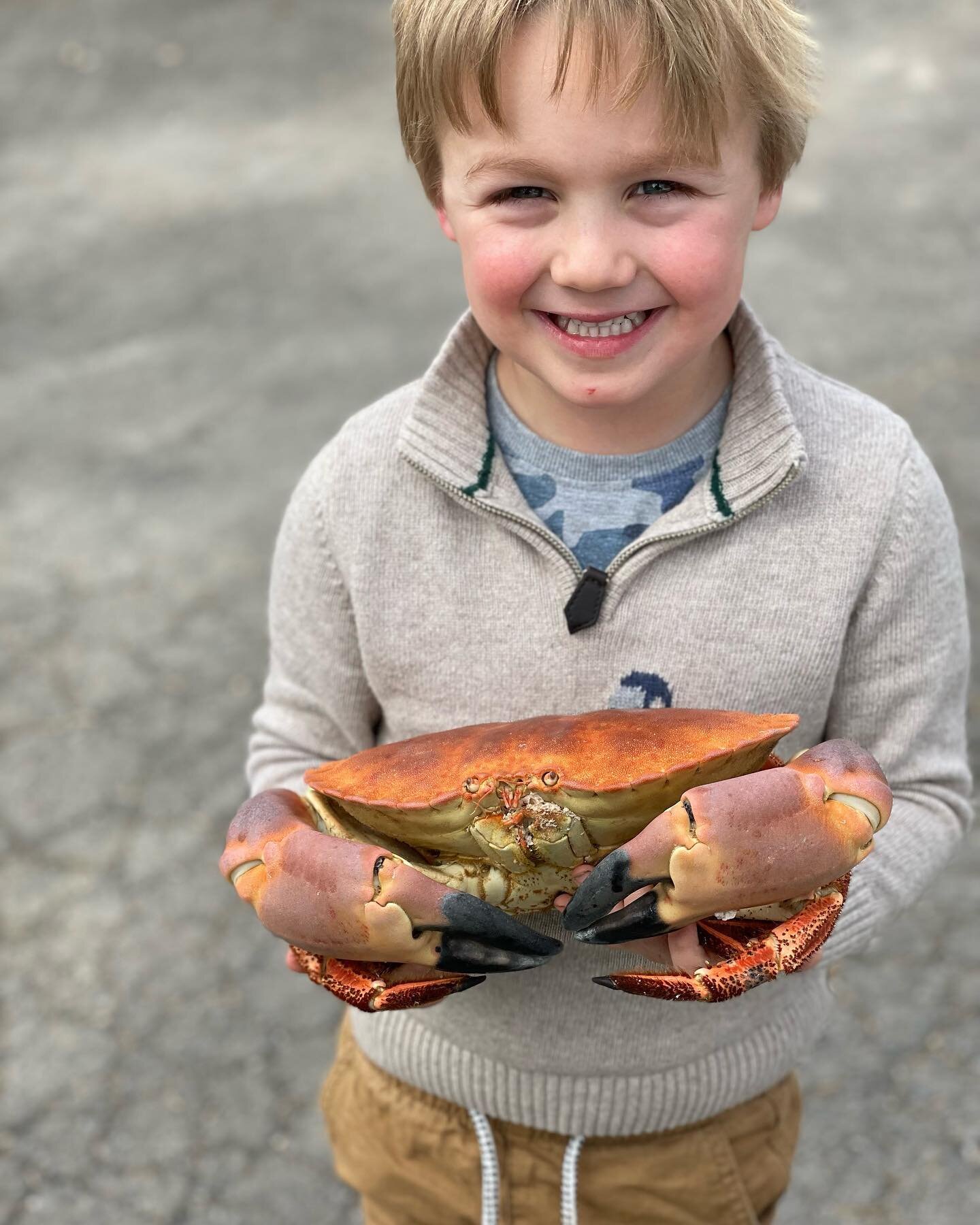 The best of bank holiday weekends FT.
Fresh crab as a gift to our friends 
The best of April produce 😋
Lindt chocolate to keep me going at my cooking job 
Wild garlic picking 
Turning into Wild Garlic pesto 
Dreamy canap&eacute;s - like my burnt pep