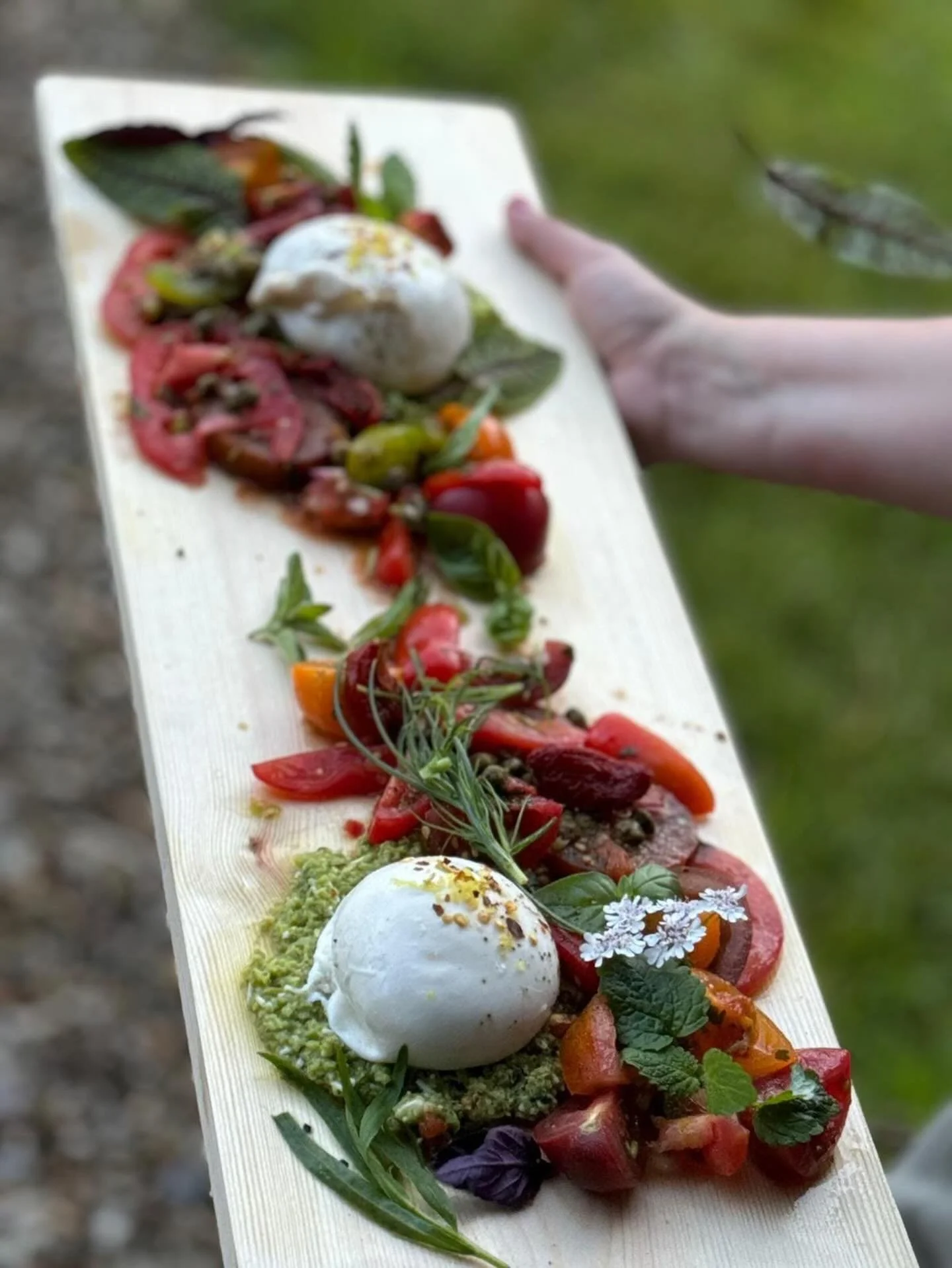 Summer starters never looked so good. Best of season tomato tricolore, English buratta, broad bean pesto &amp; fresh herbs served family style 🫶