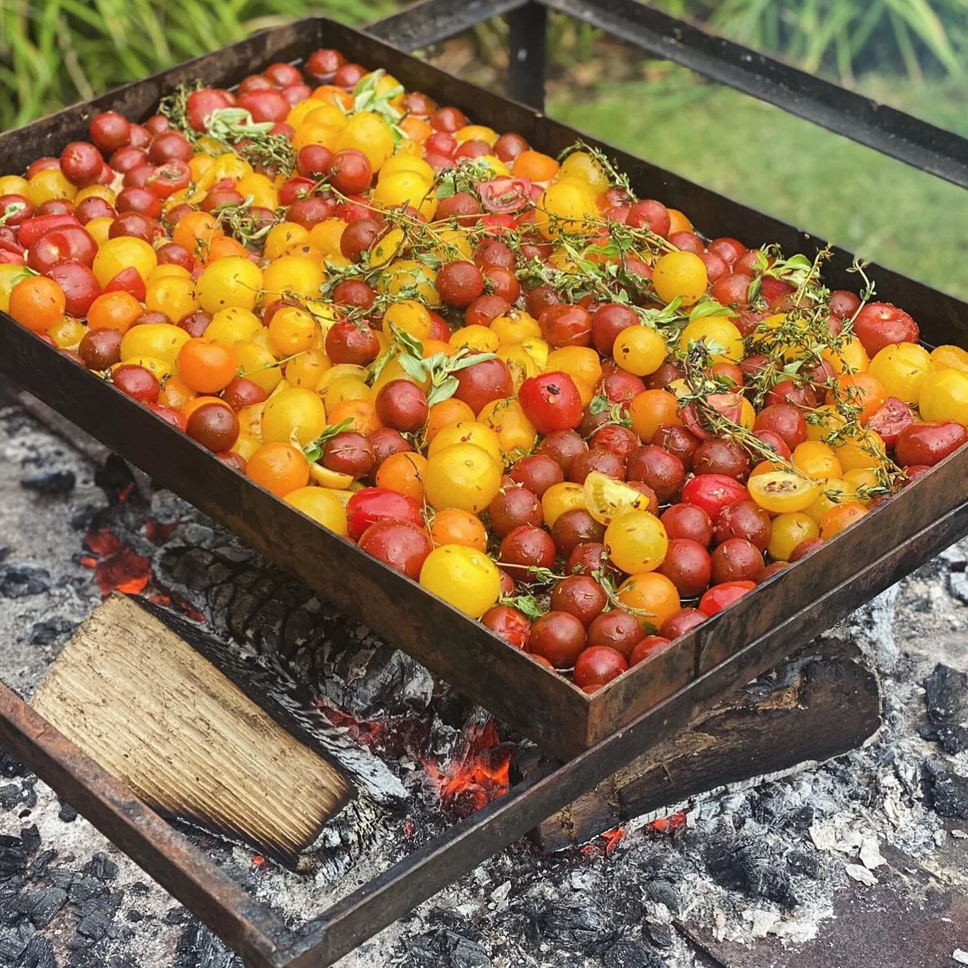 The colours of tomatoes on the fire 🔥 we love to roast them in herbs, garlic and cumin! Our incredible tomatoes in the summer come from two organic growers in Dorset @the_edible_acre @theveglady We are very lucky to have this growing on our doorstep