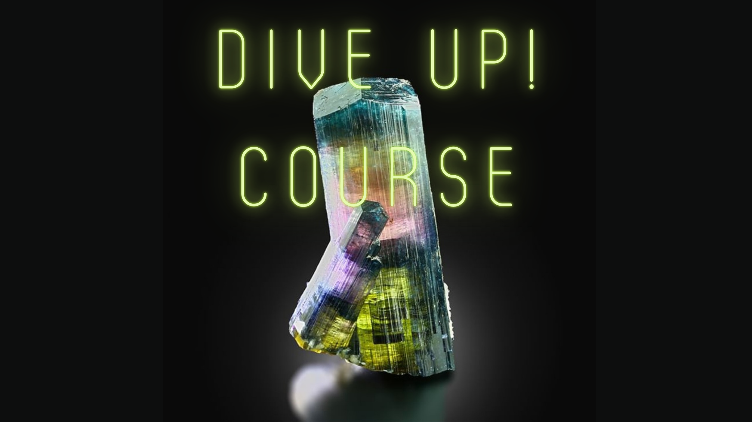 RELEASE (3).png