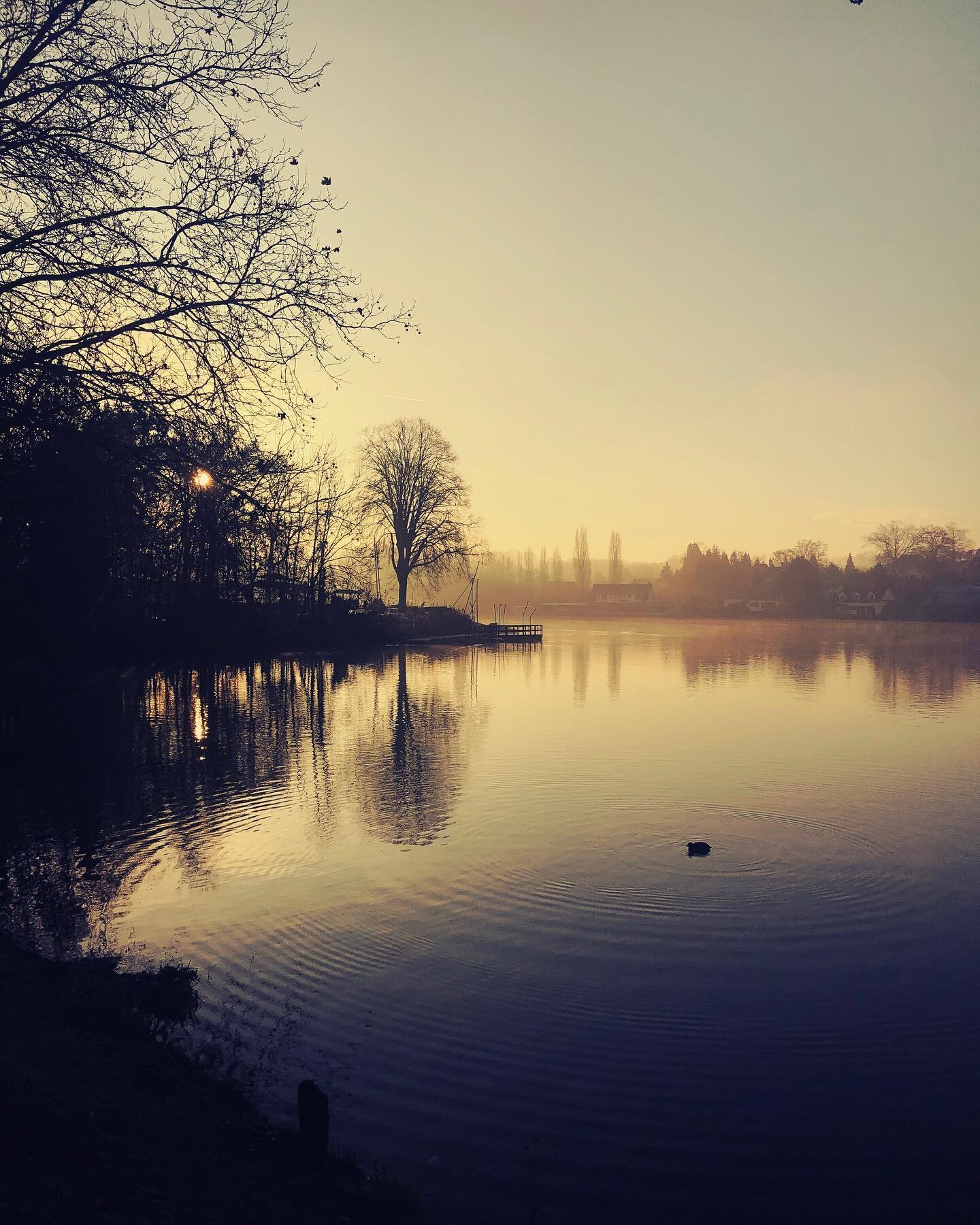 How do you start the week-end? 

After a long working week, I needed an early walk.

It&rsquo;s so wonderful to enjoy the quiet of the sun rising while looking at the mist from the lake. I shared the moment with joggers. 

A few years back, I would t