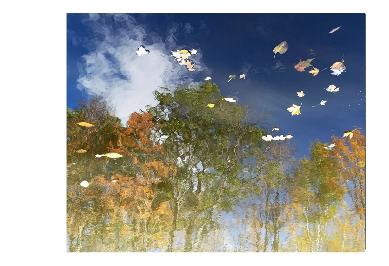 Water's Edge 1