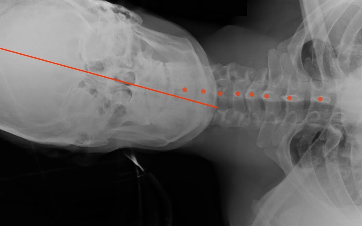 Everything about pillows and more