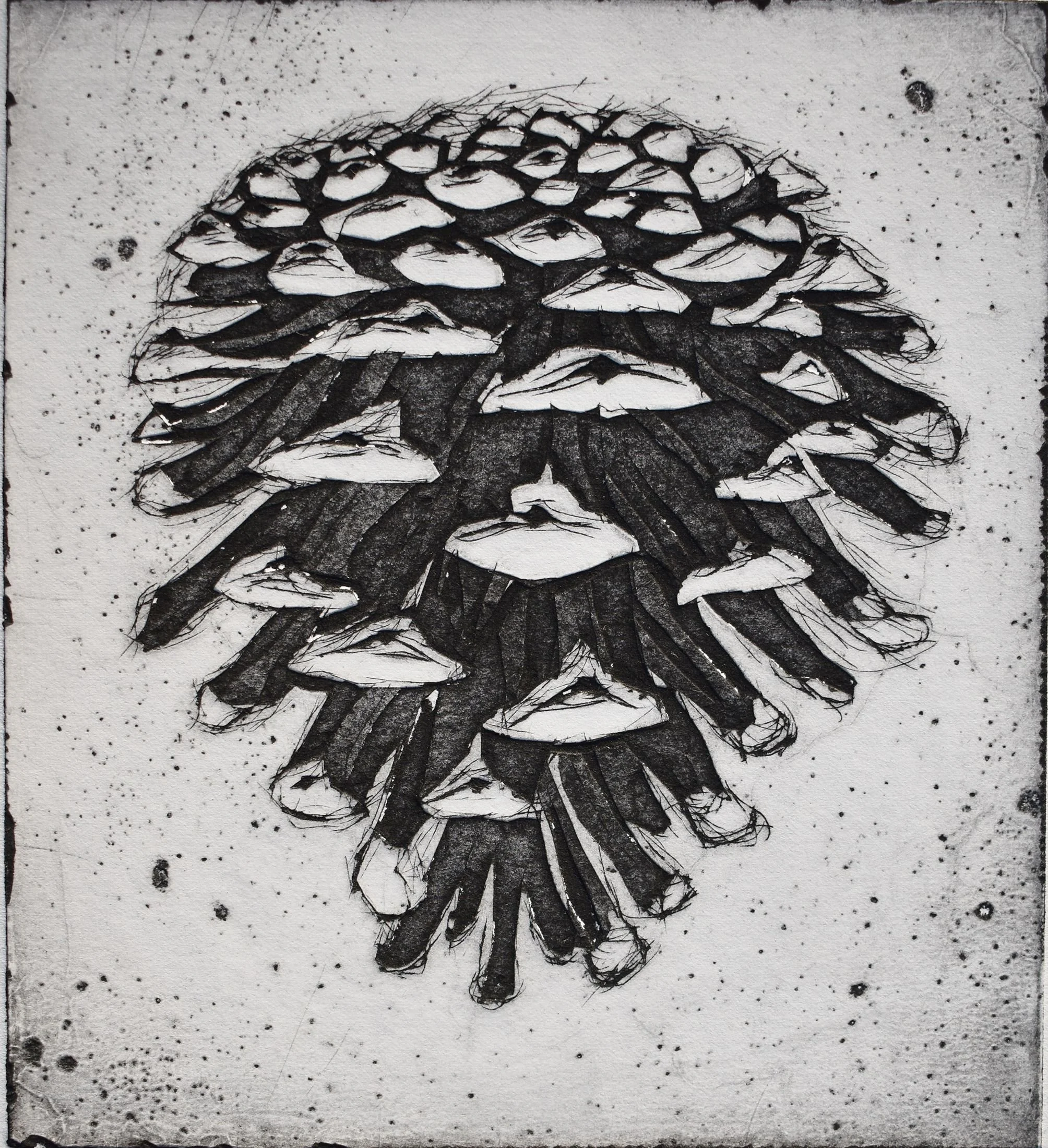 fyrrekogle 18x20 cm lille oplos.jpg