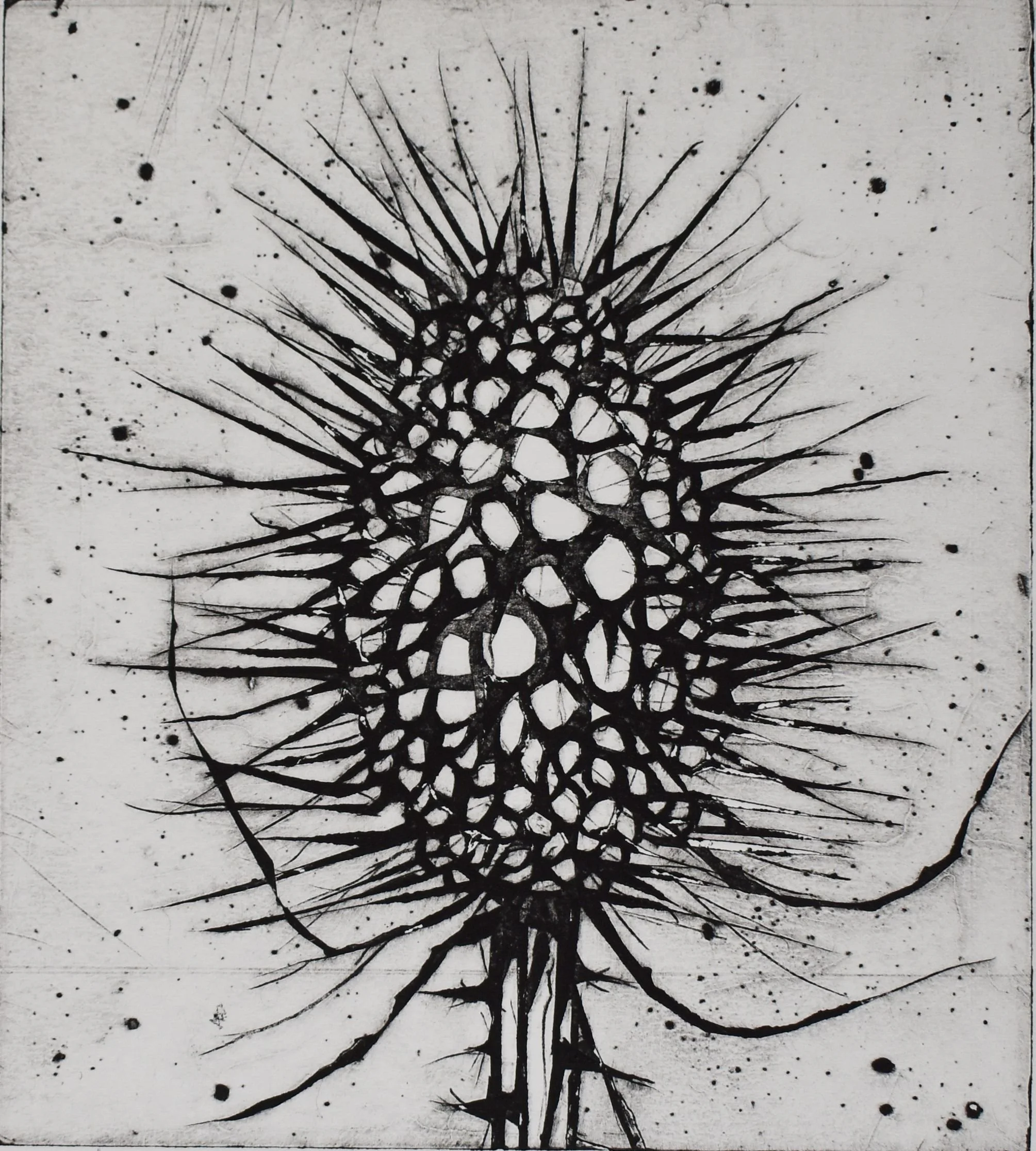 kartebolle 18x20 cm lille oplos.jpg