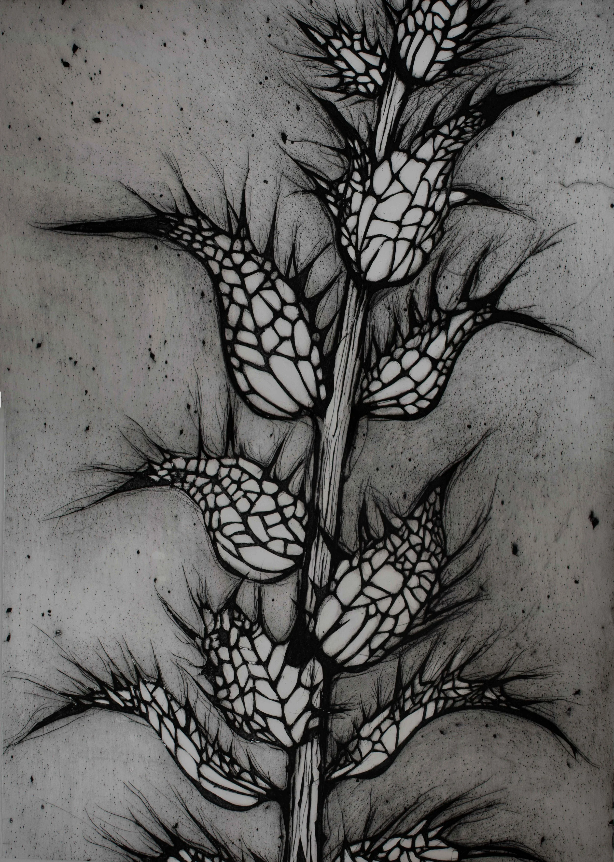 Bjørnetorn 52x73 cm lille opløsning.jpg