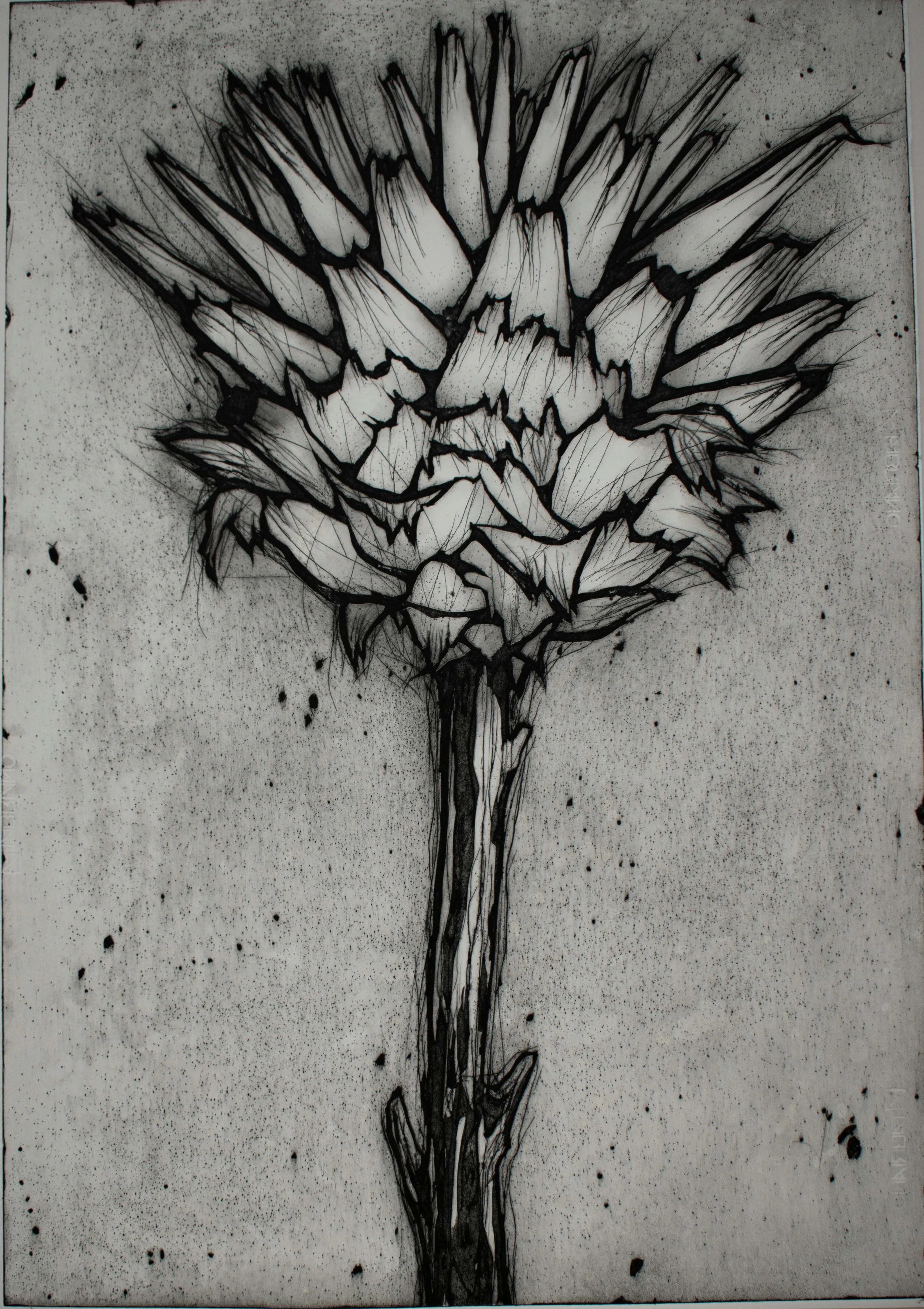 stjernekogle 70x100 cm lille oplos.jpg