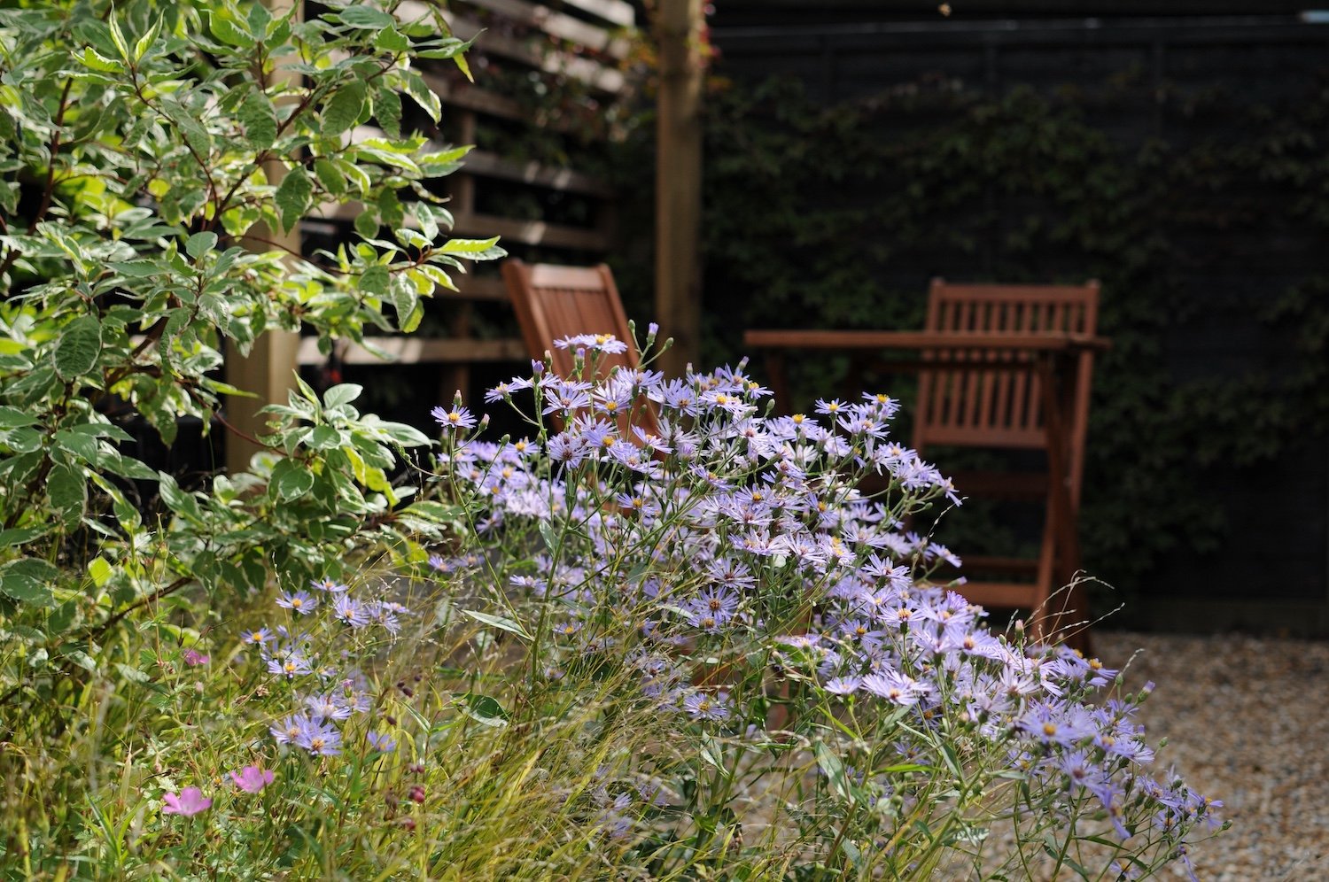 Ally Pally Garden