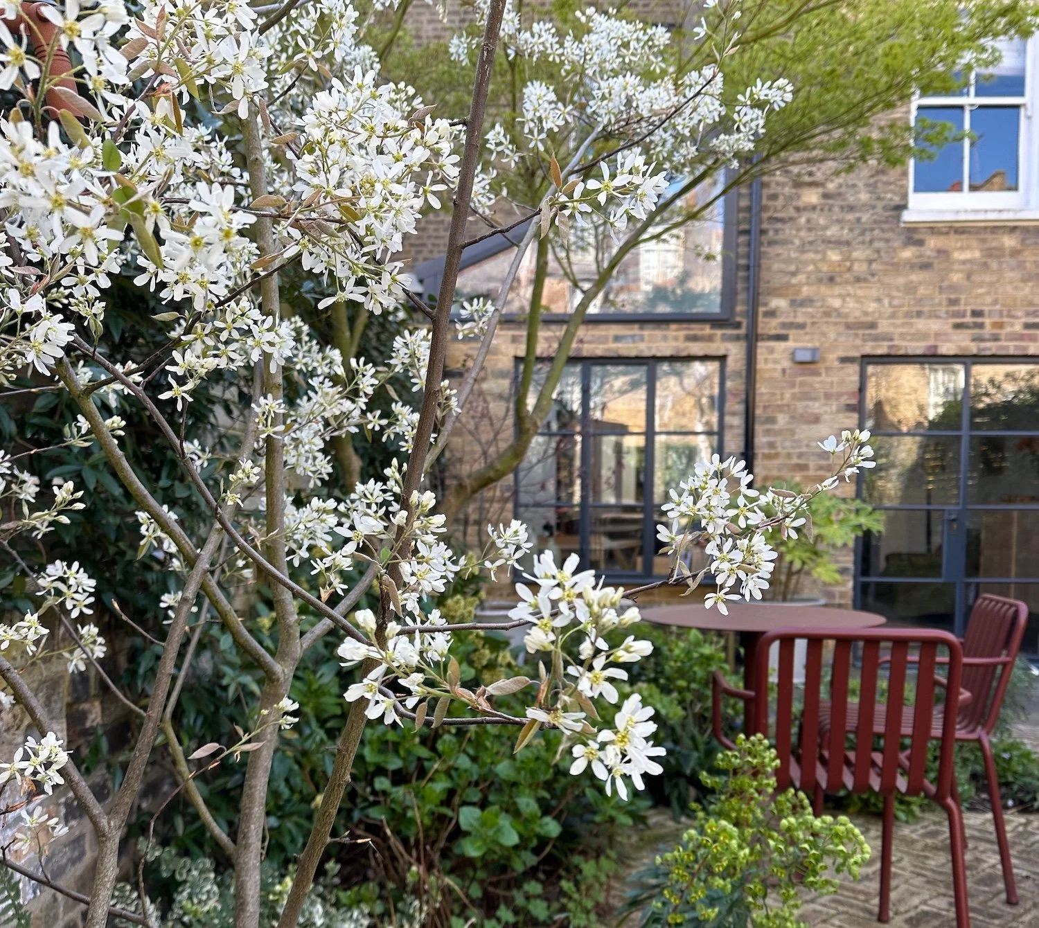 Newington Green Garden
