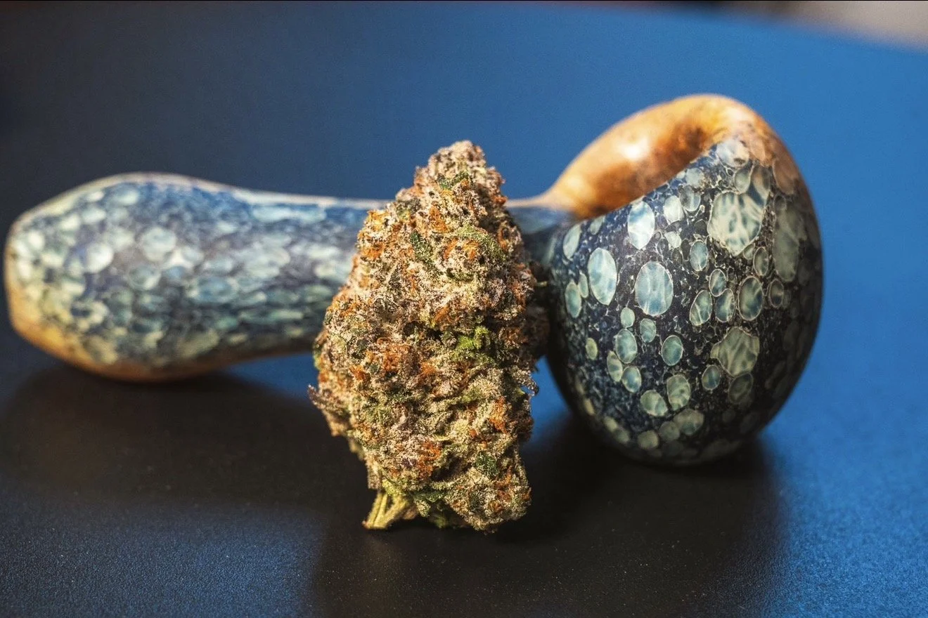 Bongs to Buds: 5 Common Home Grow Mistakes (And How to Avoid Them)