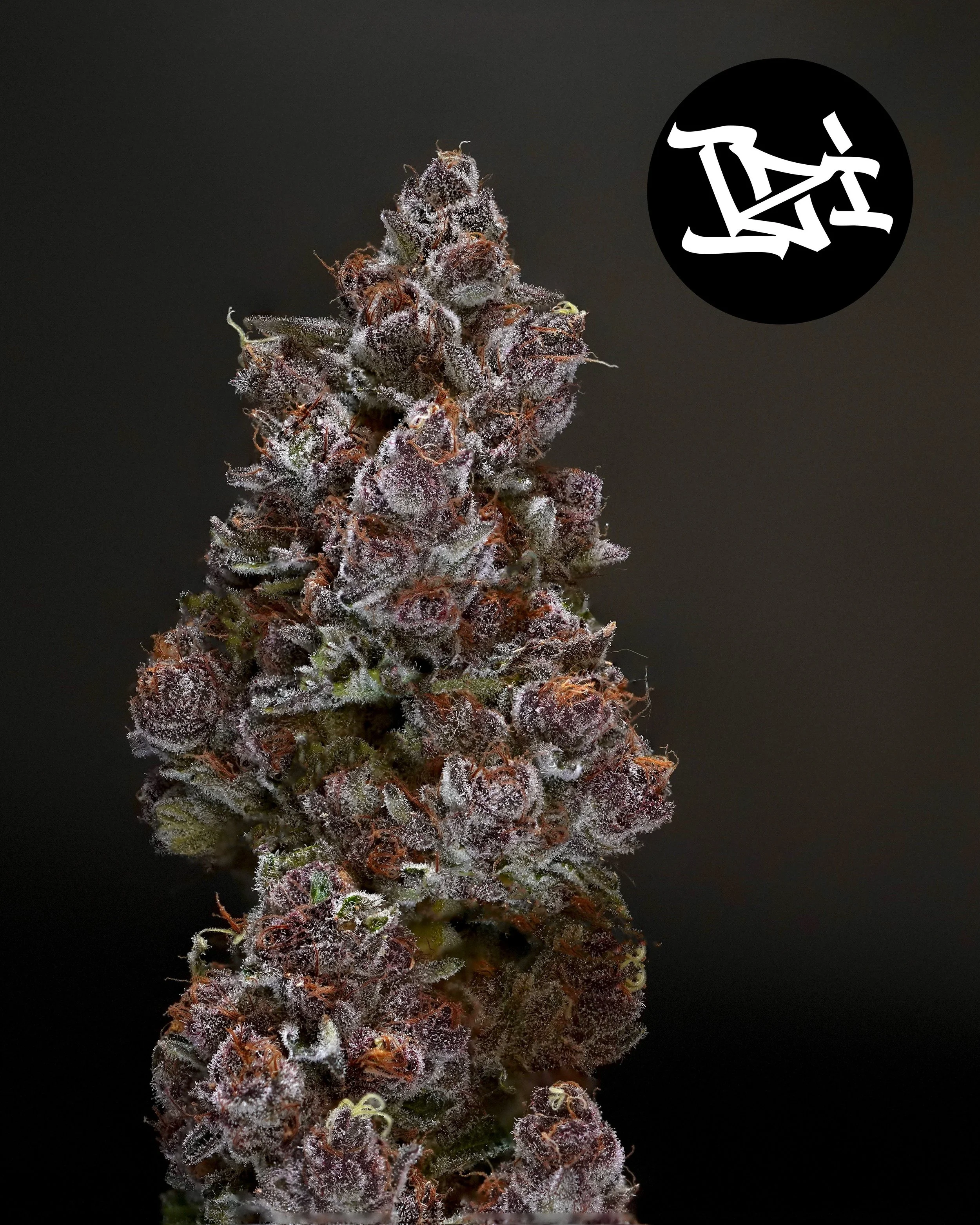Terpenes 101: Why Your Nose Knows Best When Choosing Flower