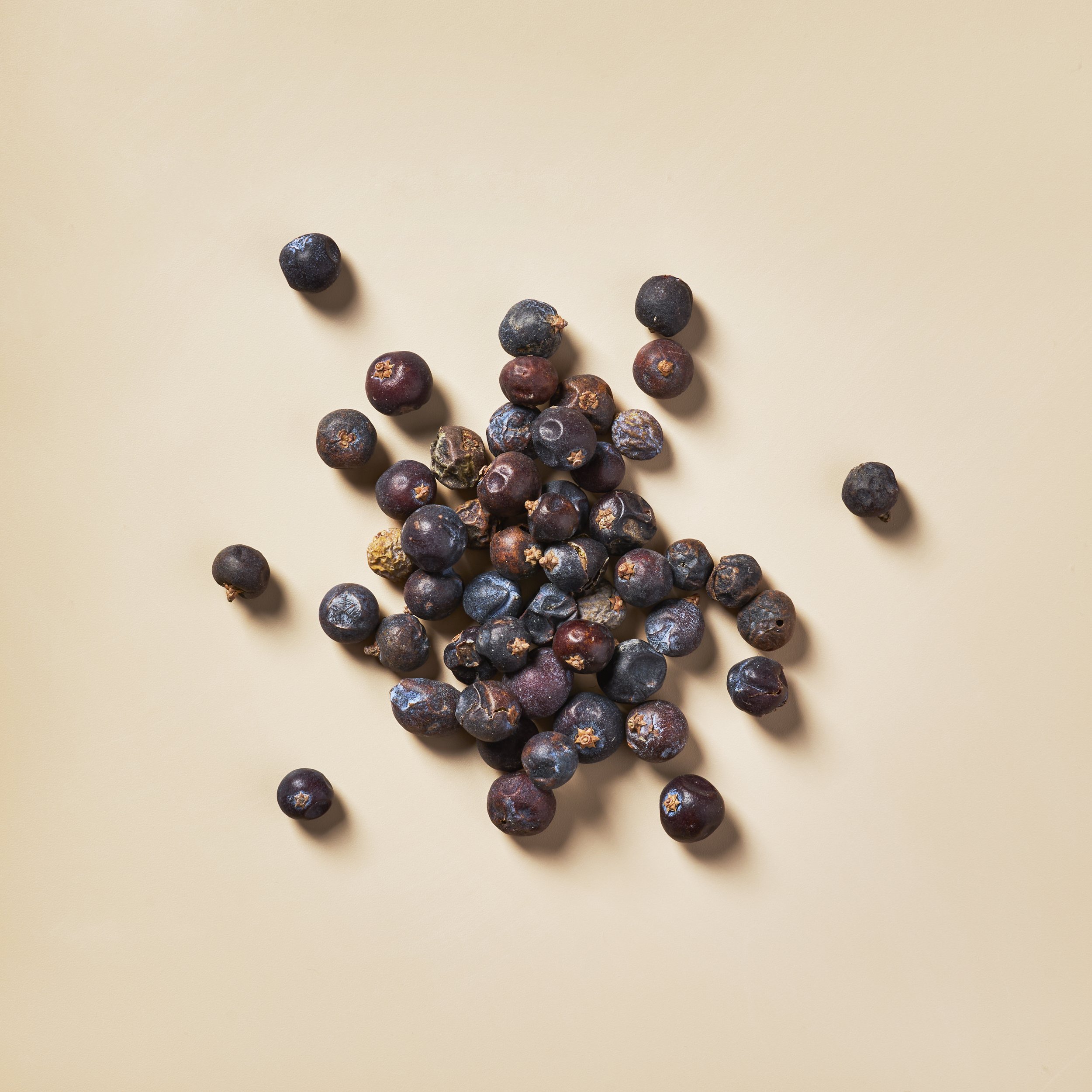 W-7094-Juniper Berries (Blue) - Botanical-1.jpg