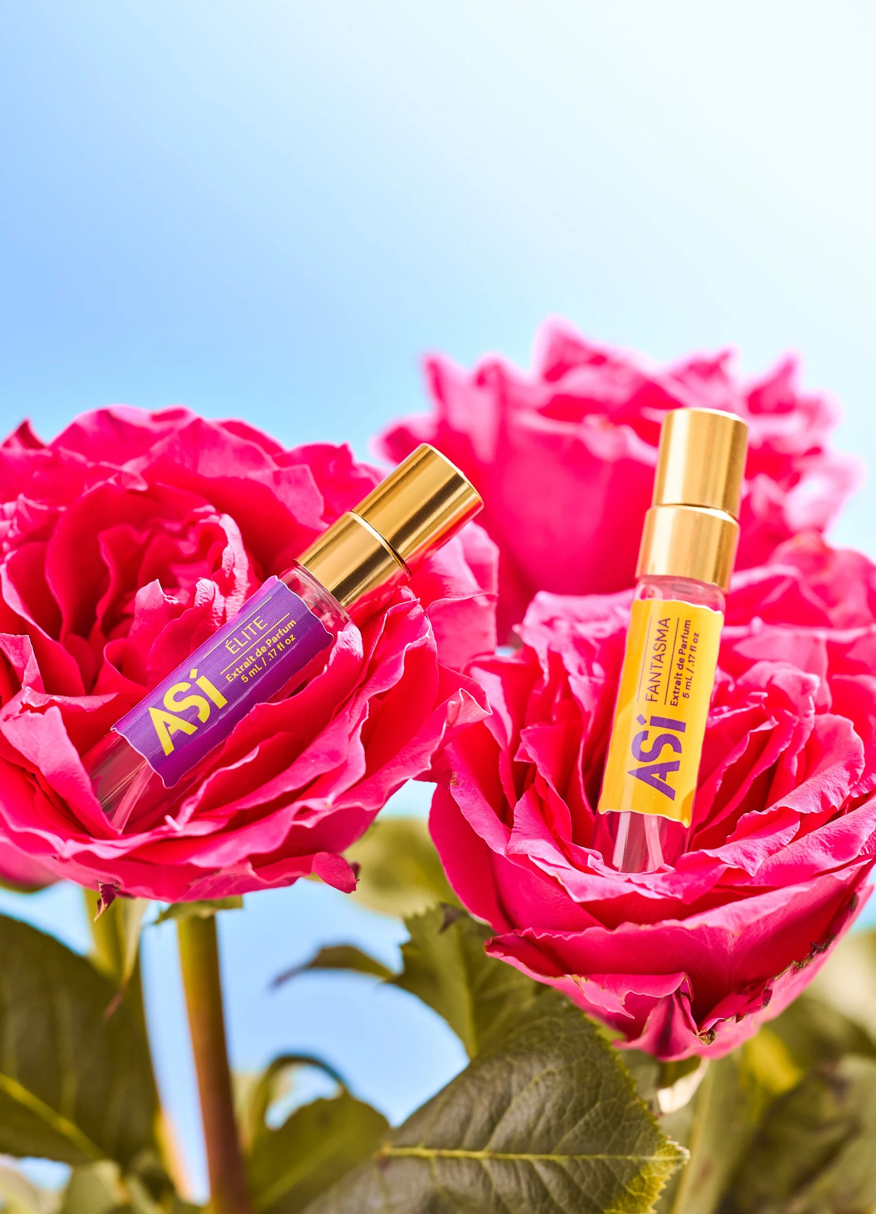 ASI-Floral-Collection-Rose-4.jpg