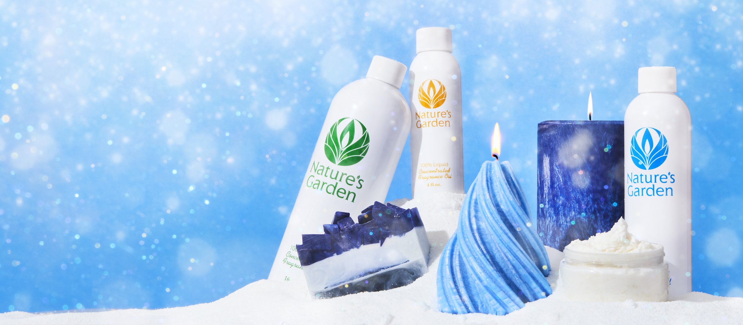 NG-SnowedIn copy.jpg