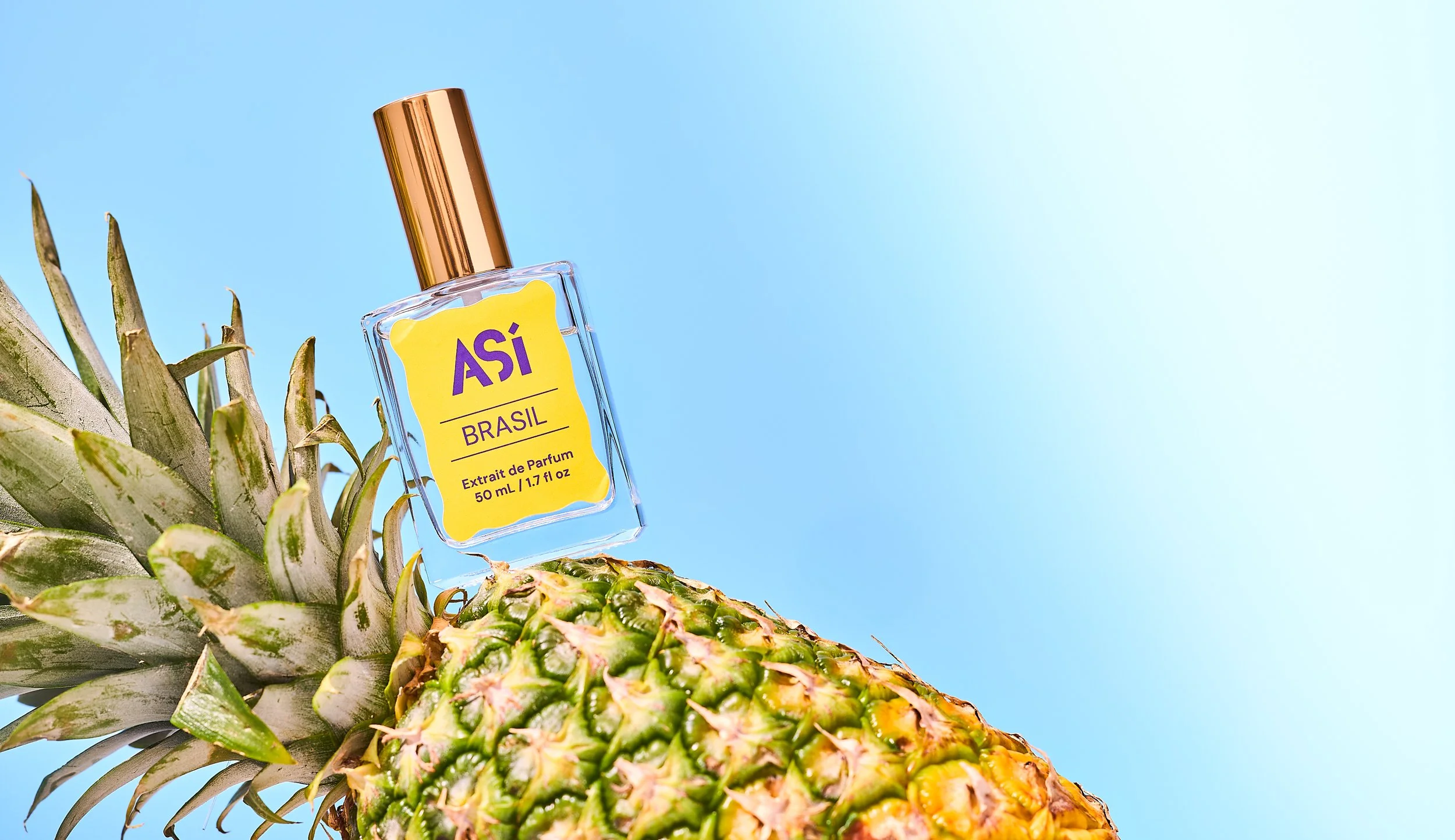 ASI-Stylized-Brazil-Pineapple-2.jpg