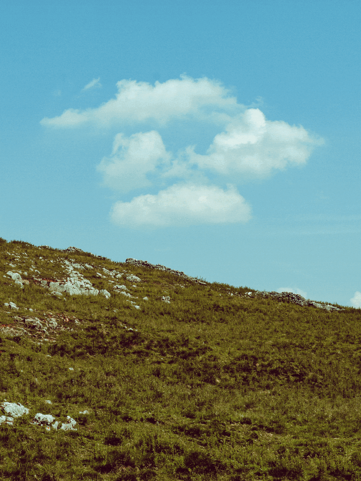 A grassy hillside with rocks and sparse vegetation under a bright blue sky with a few scattered white clouds.
