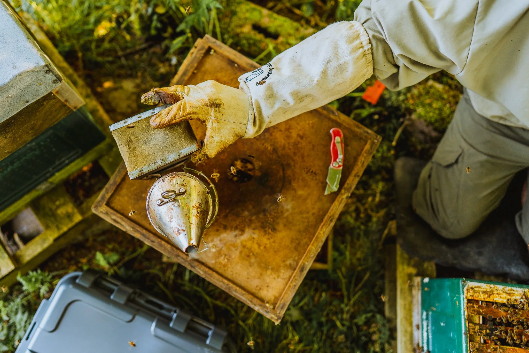 Freelance Lifestyle Photographer Person tending a beehive wearing gloves, with bees flying around and honey tools on a rusty wooden surface.