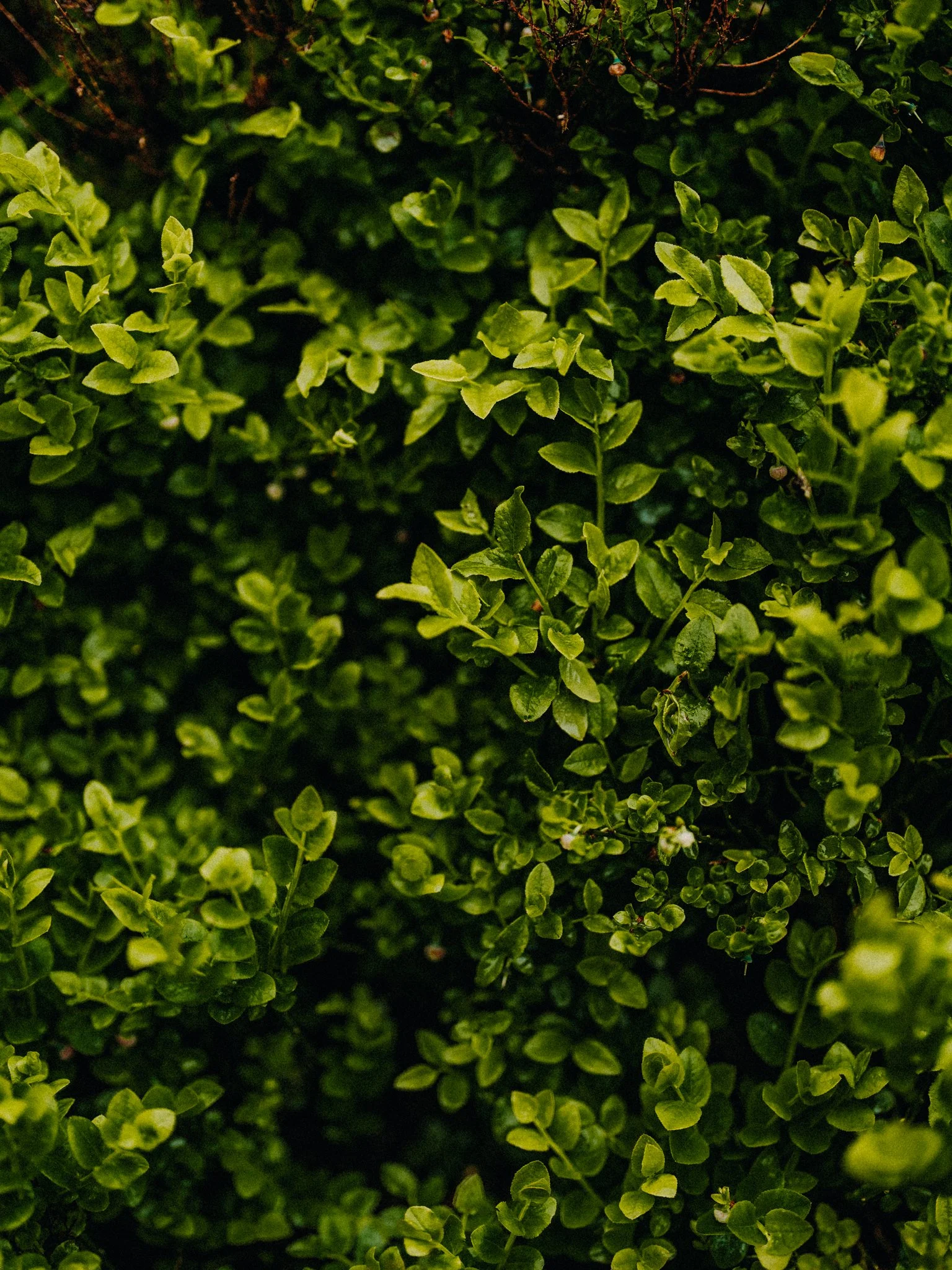 LIFESTYLE PHOTOGRAPHER LEEDS MANCHESTER LONDON-29.jpg