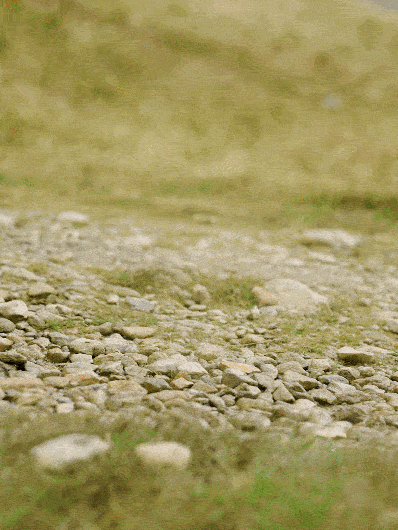 LIFESTYLE OUTDOOR PHOTOGRAPHER.gif