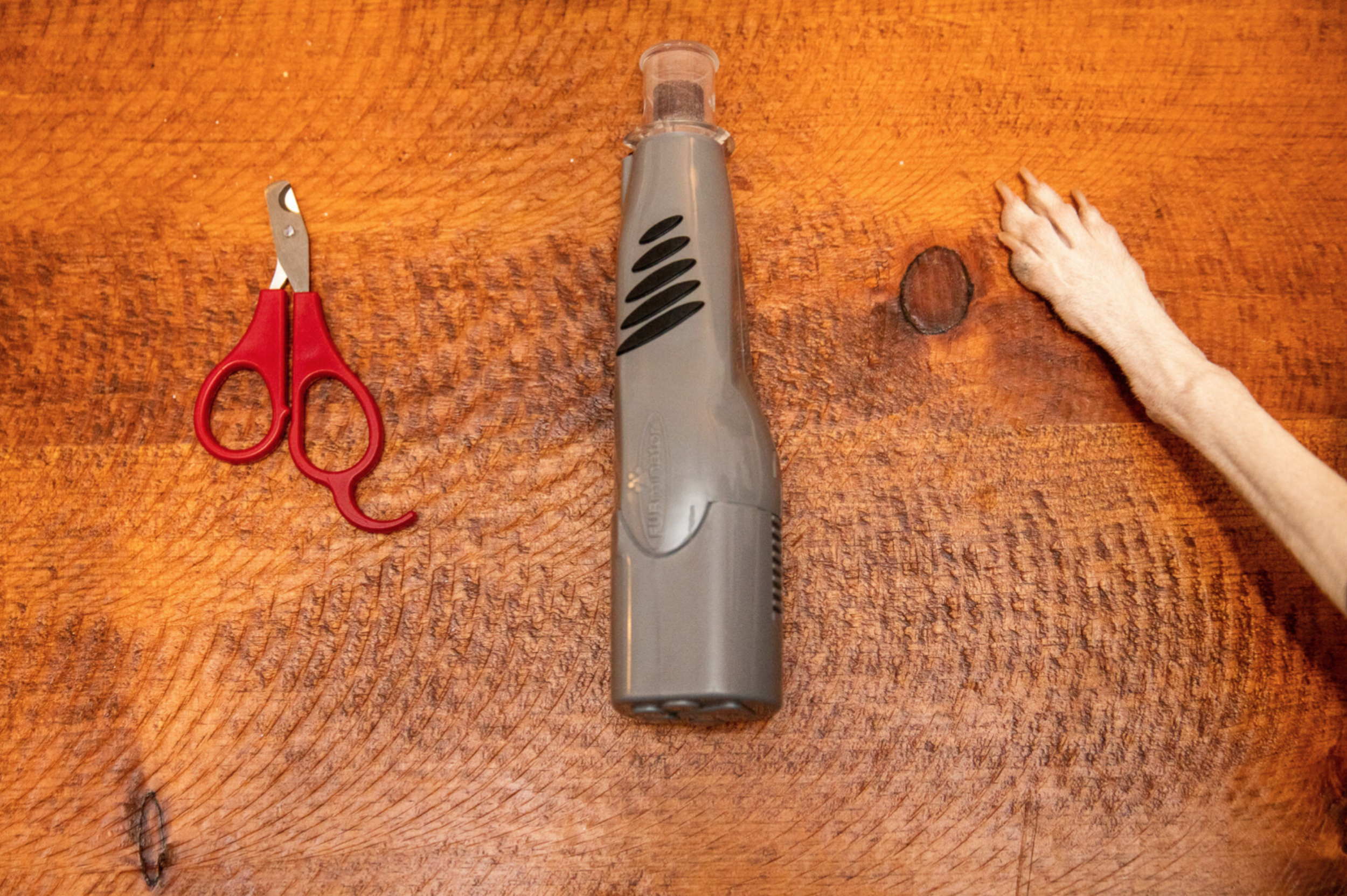 Nail clipping... Adelaide’s journey with the big bad task of clipping nails