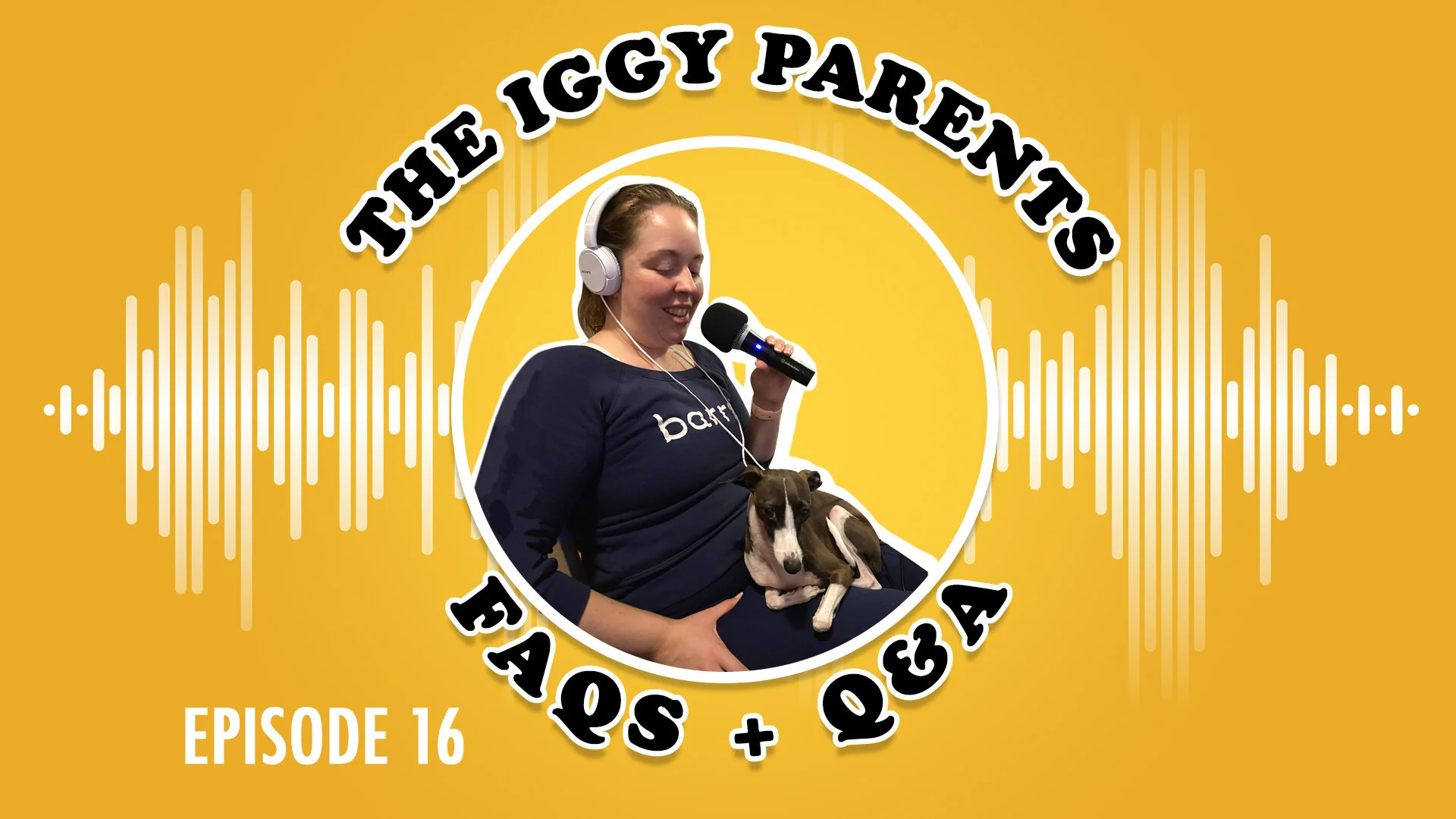 Episode 16 - FAQs + Q and As