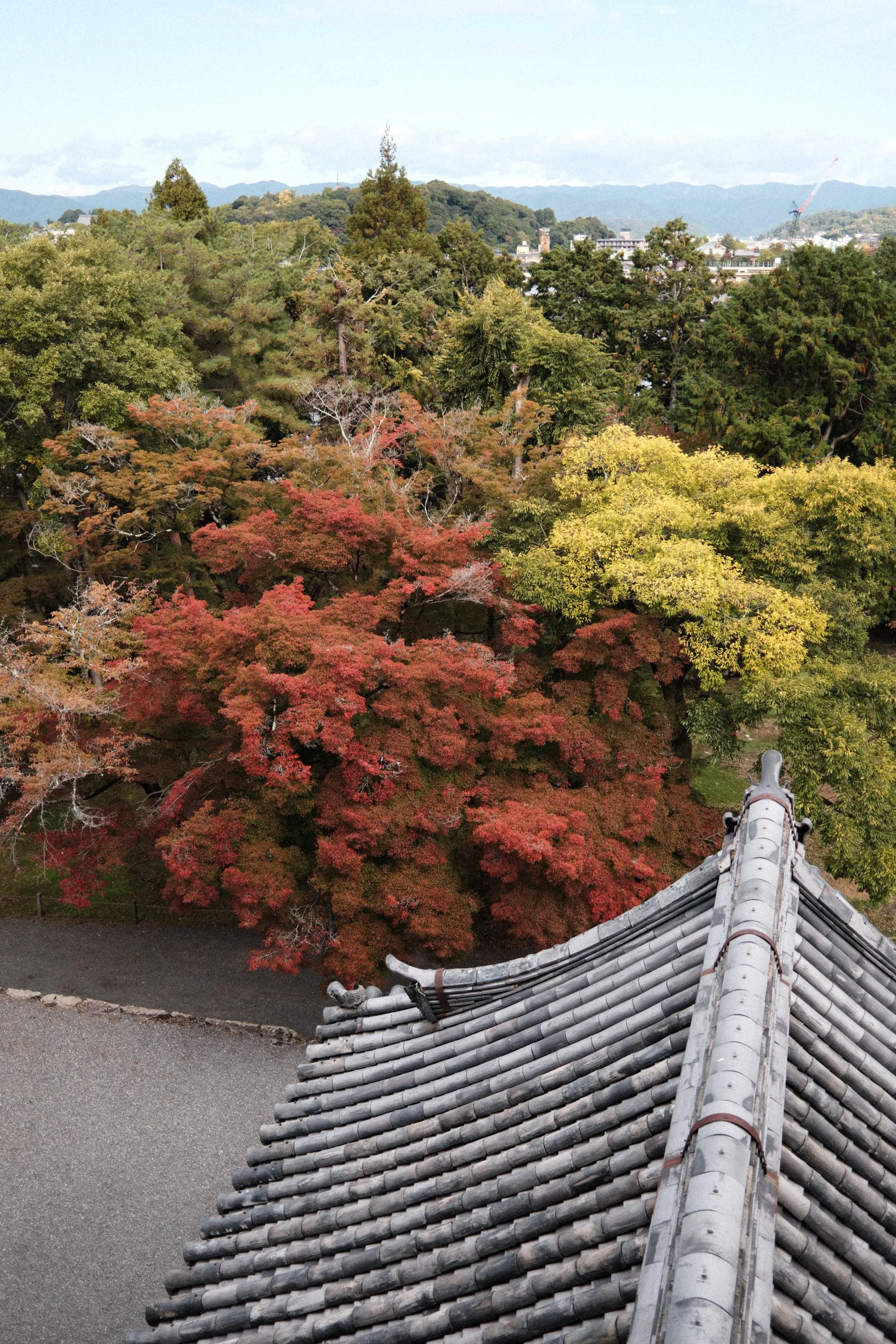 11/2025 SANMON GATE