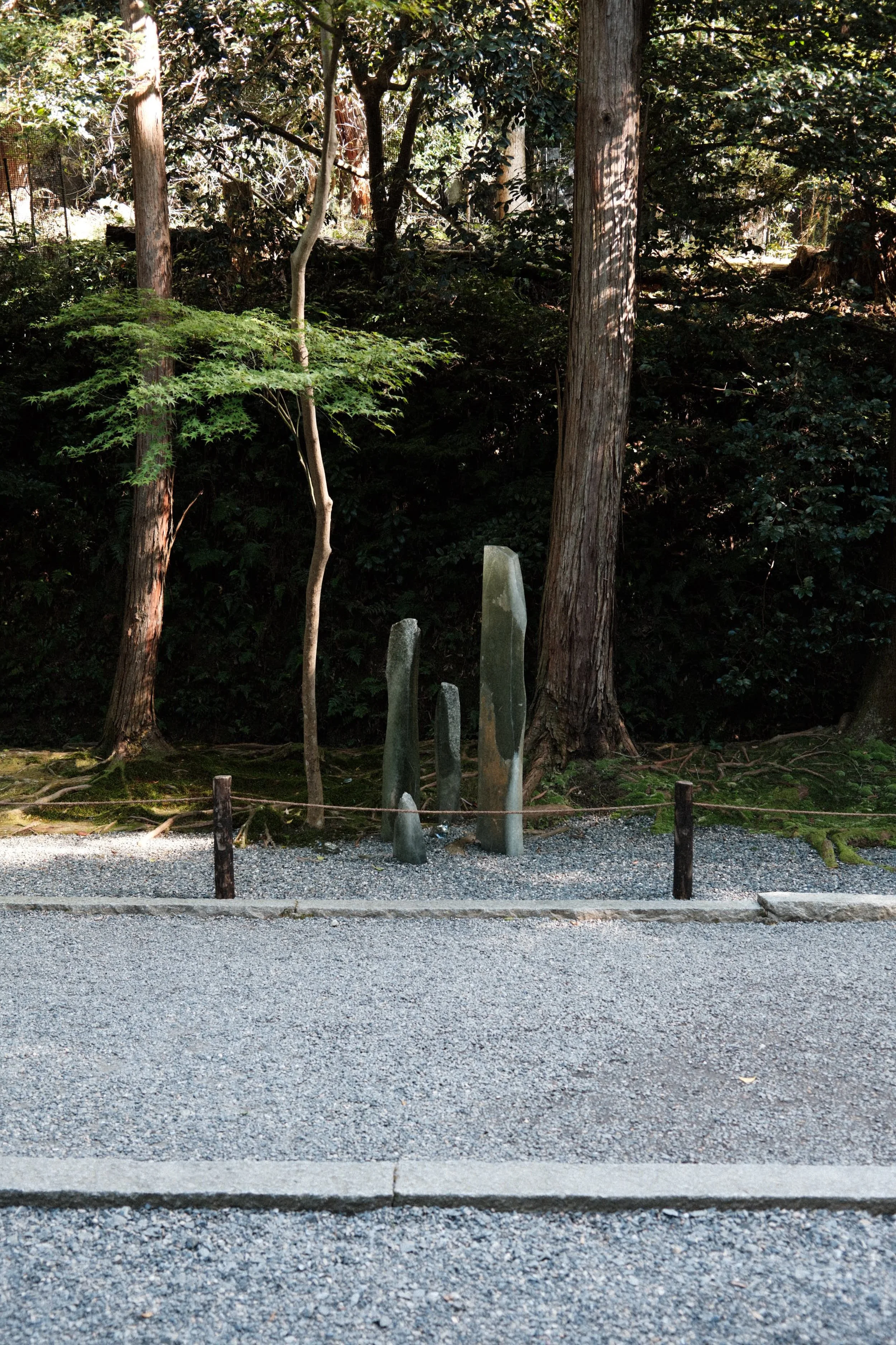11/2025 HONEN-IN