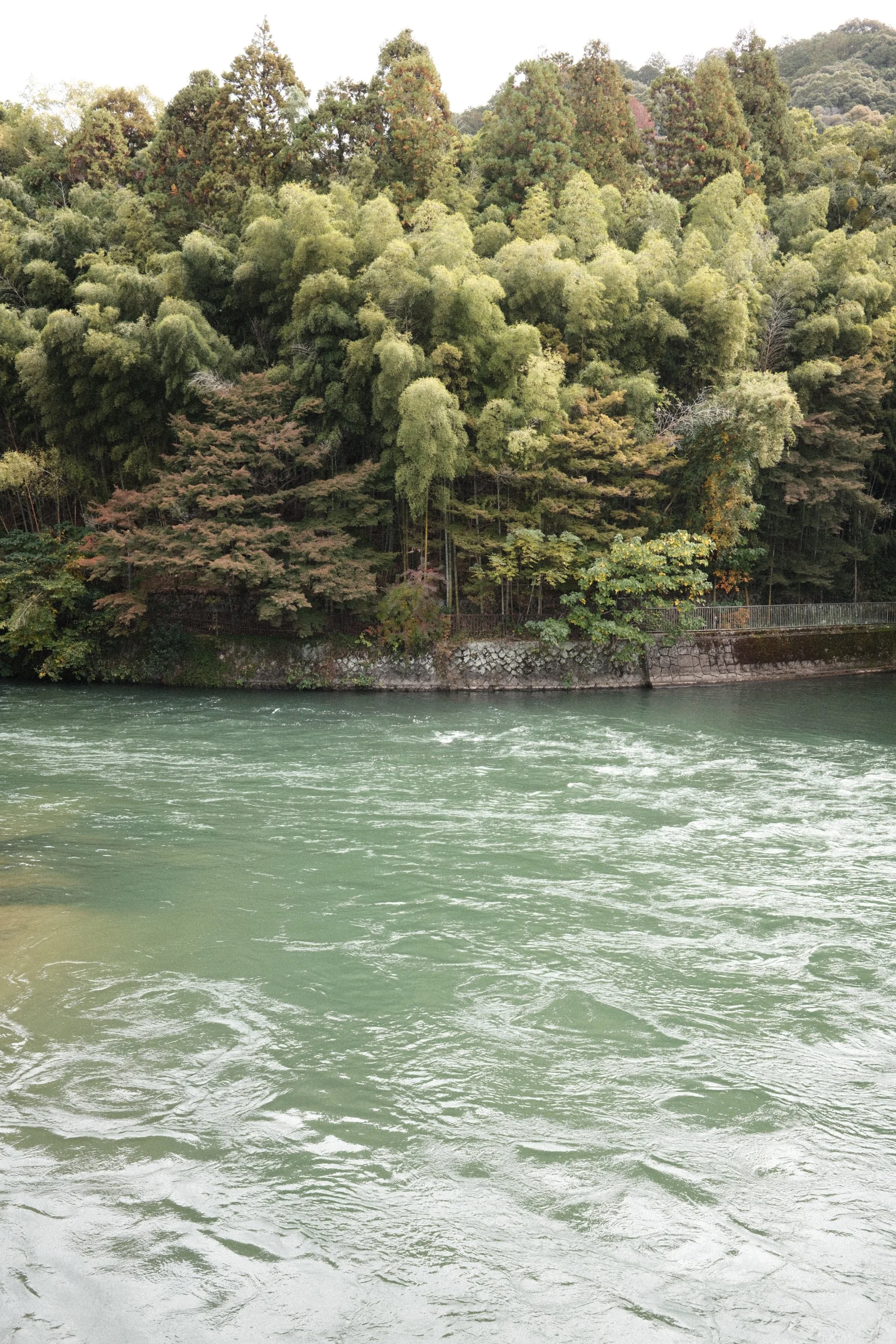 11/2025 UJI