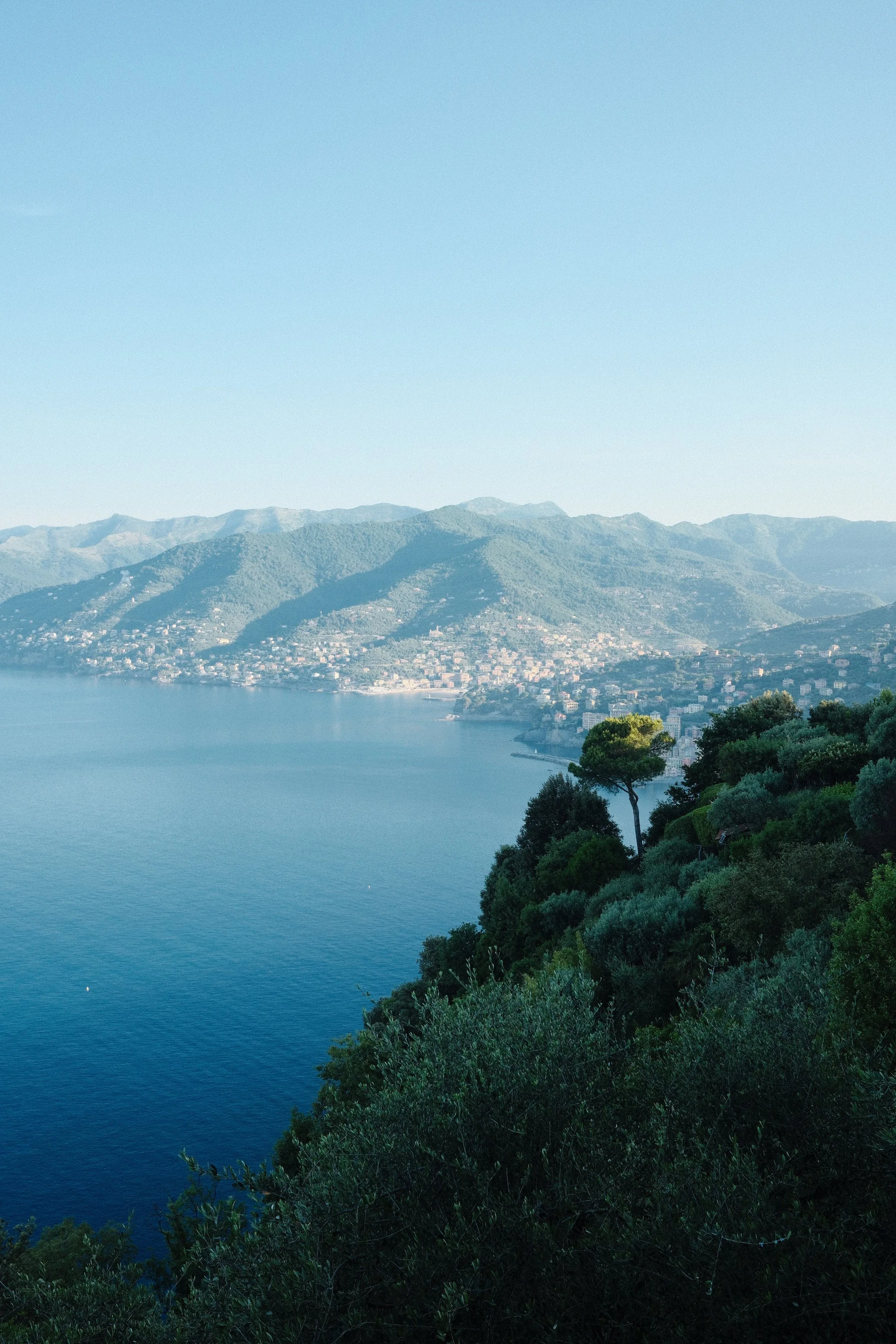 05/2026 CAMOGLI