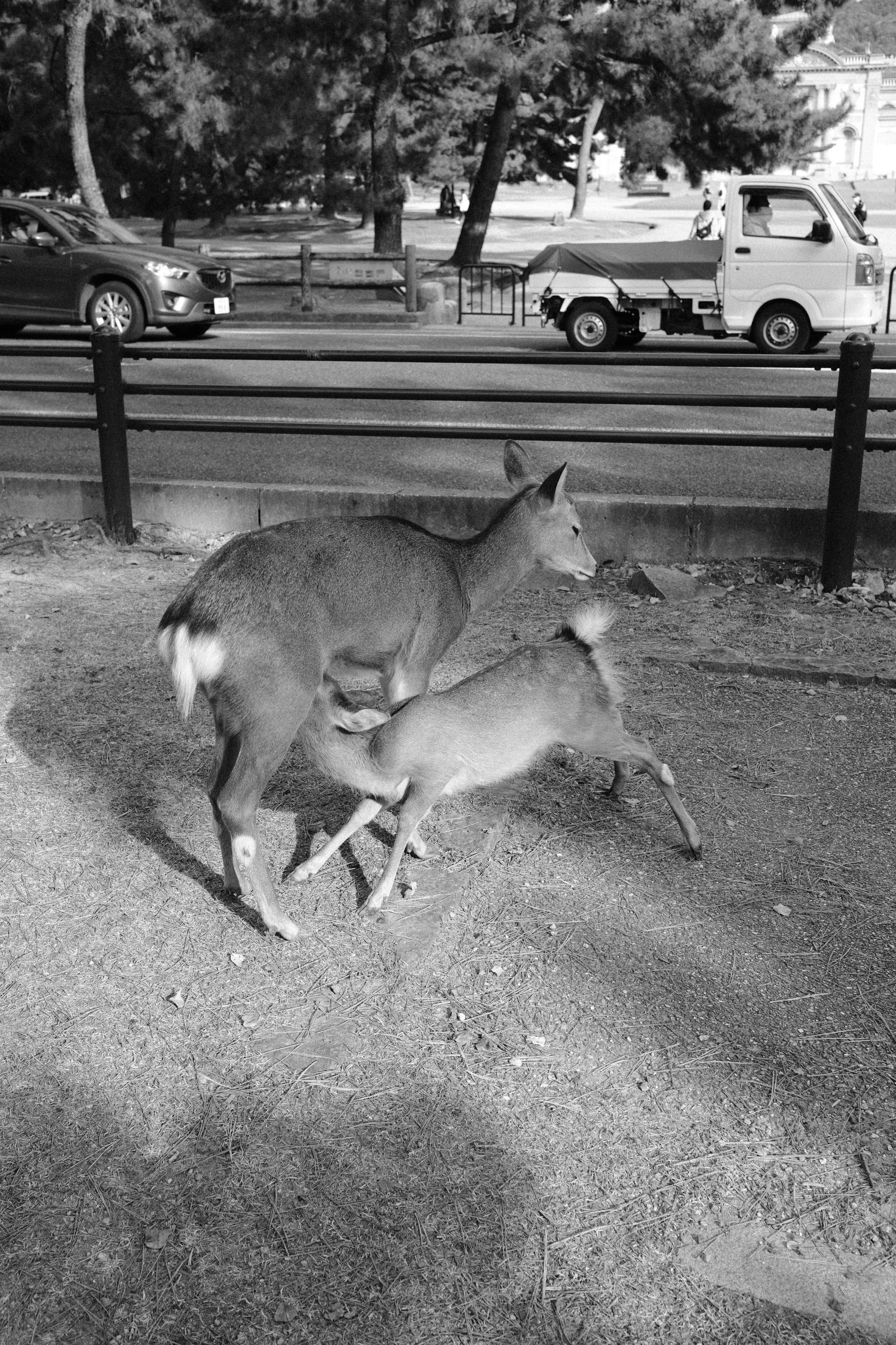 11/2025 NARA