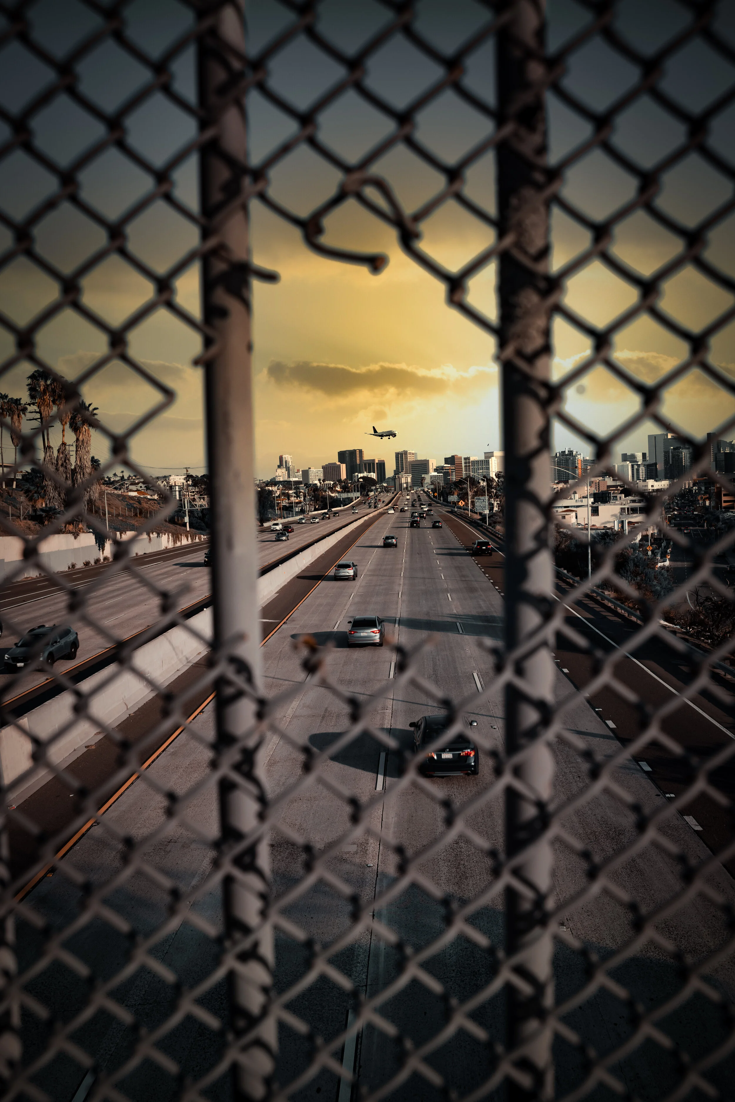 _D5A7927-Edit-2.jpg