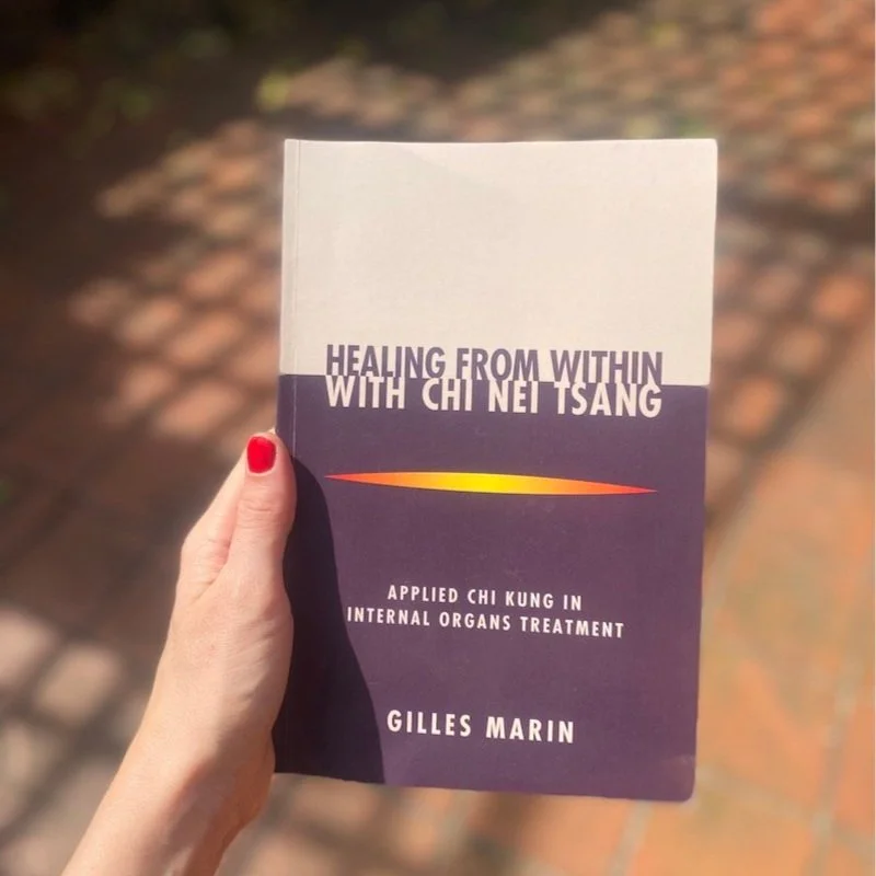 Healing from Within GIlles Marin Small.jpg