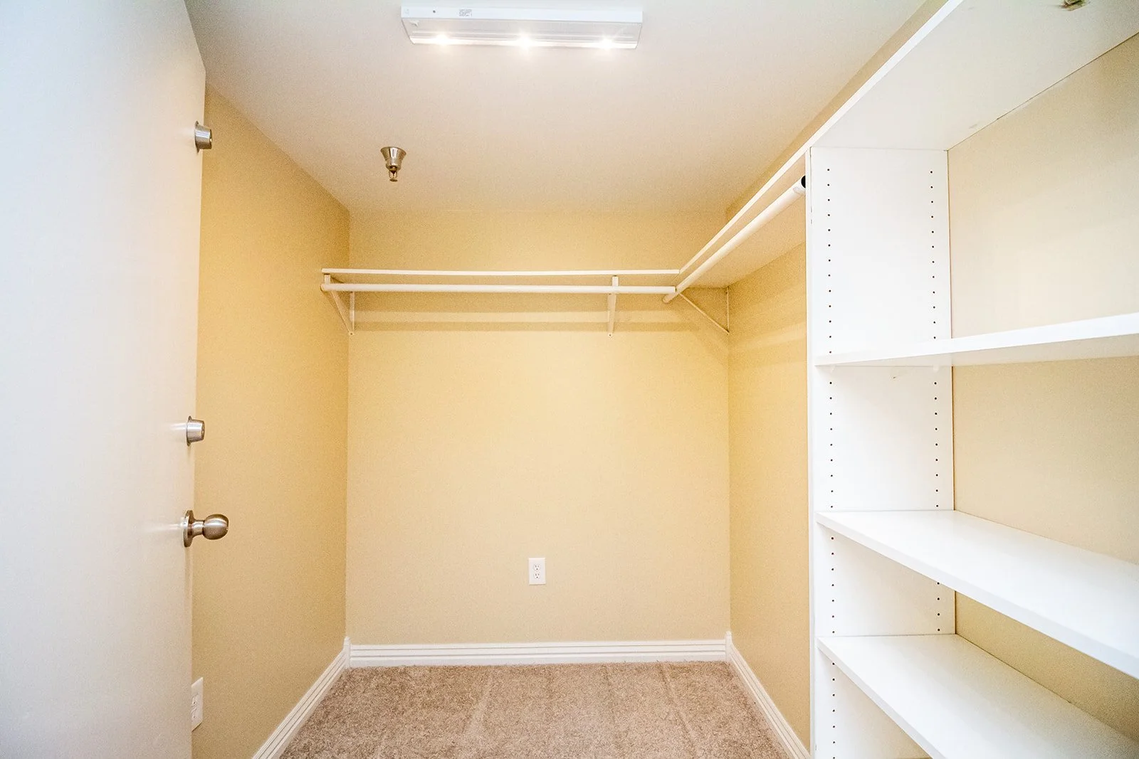 Empty walk-in closet with beige walls, white shelves on right, rod for hanging clothes on back wall, beige carpet on floor.