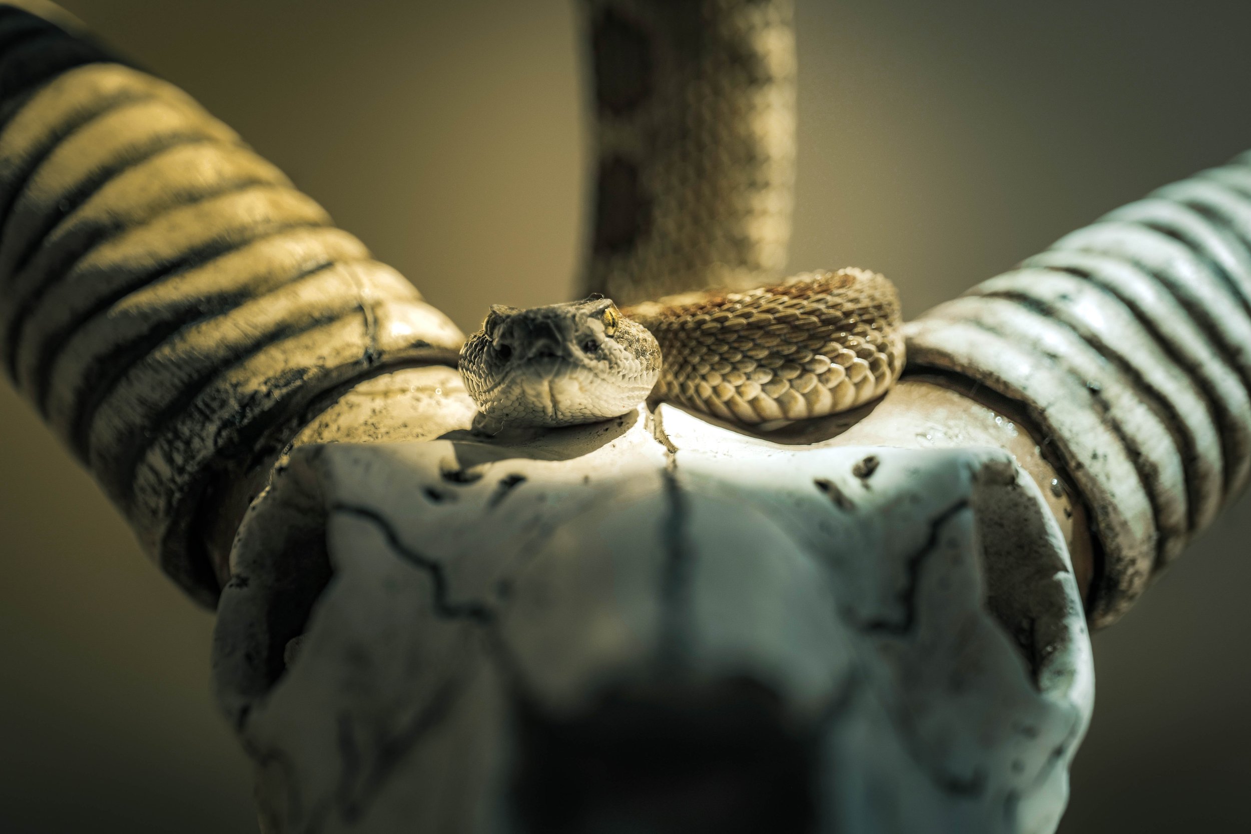 Holding Yourself Though Ego + Identity Death