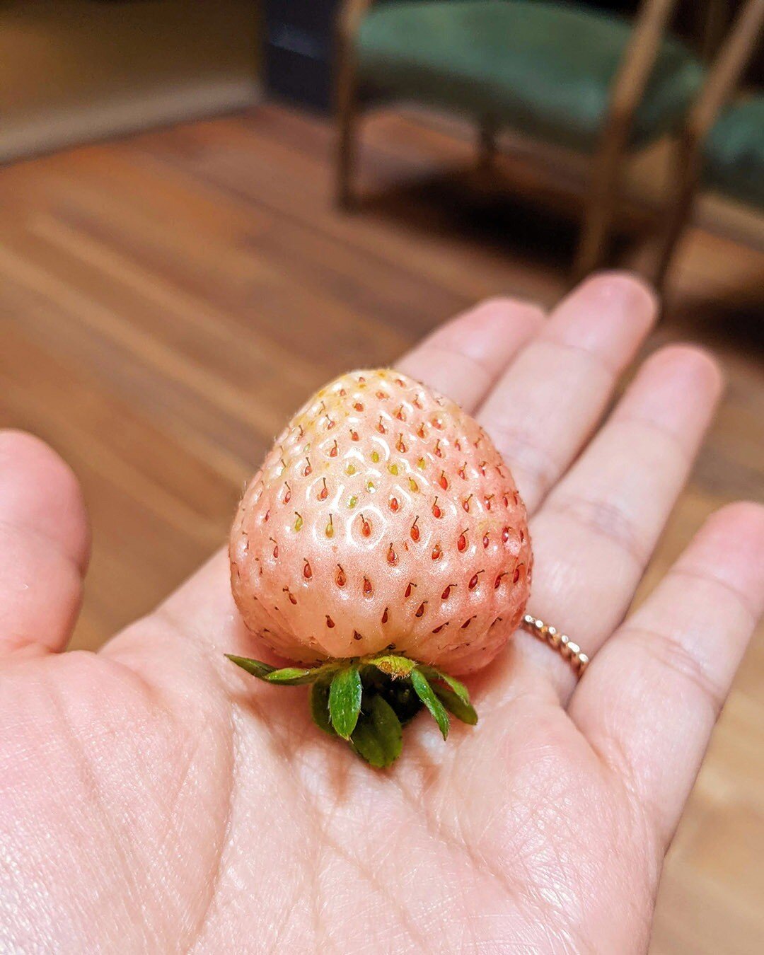 Took a break in our hotel lounge and had my first #pineberries, they taste similar to strawberries imo.
.
.
.
.
#newfood #sanfrancisco #travel #ilovetravel #domestictravel #westcoast #exoticfruit #cheaphotels #travelblogger #traveldiaries #pinkinteri