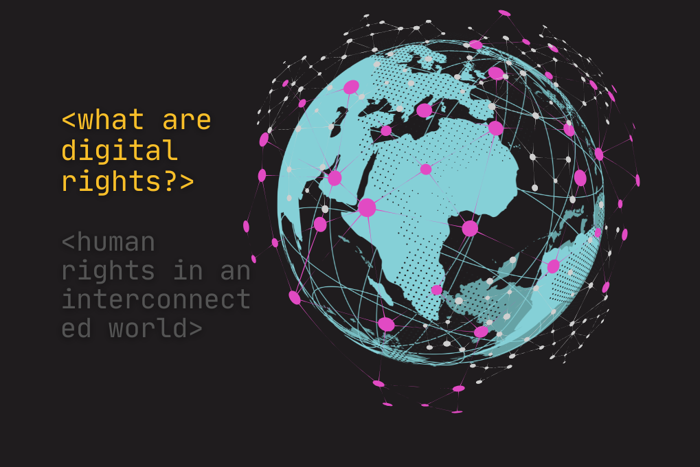 Digital Rights and Security Primers