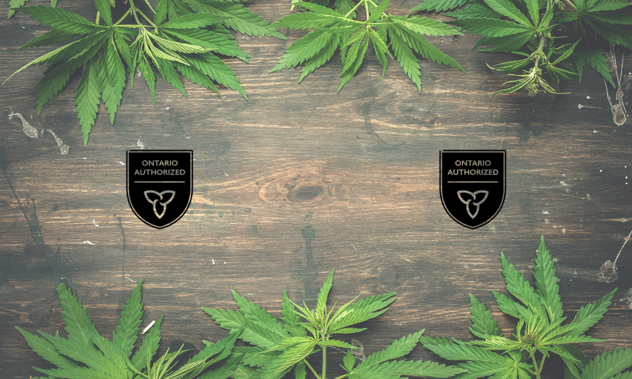 Untitled (2500 x 1500 px).png